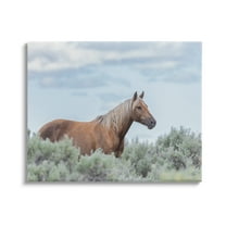 Stupell Industries Stallion Horse Among Bushes Clear Blue Sky Graphic Art Gallery Wrapped Canvas Print Wall Art, Design by Lauri McFerrin