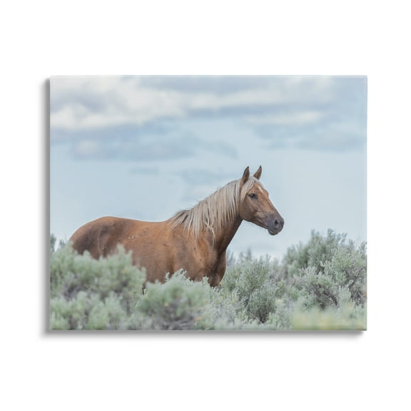 Stupell Industries Stallion Horse Among Bushes Clear Blue Sky Graphic Art Gallery Wrapped Canvas Print Wall Art, Design by Lauri McFerrin