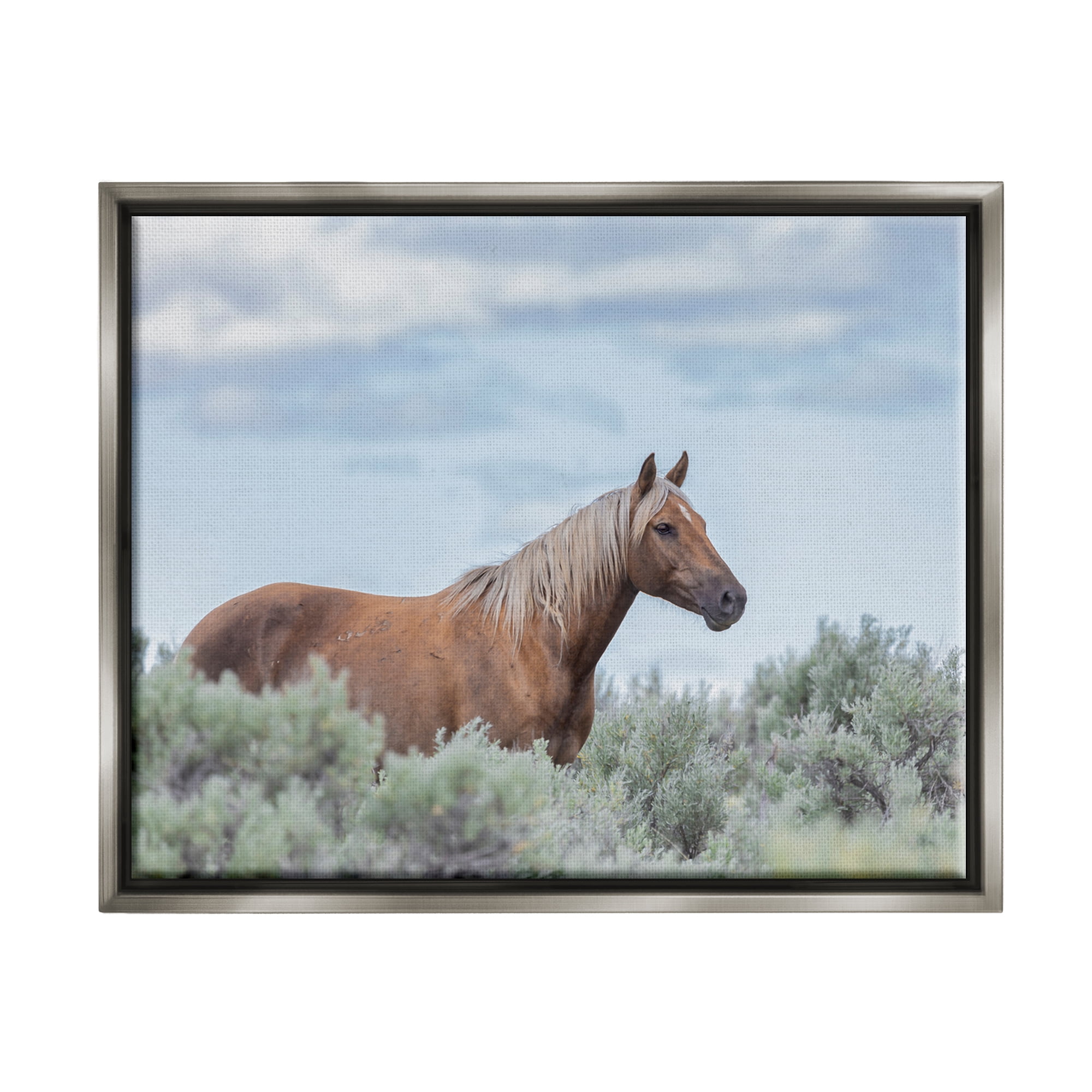 Stupell Industries Stallion Horse Among Bushes Clear Blue Sky Graphic Art Luster Gray Floating Framed Canvas Print Wall Art, Design by Lauri McFerrin