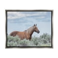 thumbnail image 1 of Stupell Industries Stallion Horse Among Bushes Clear Blue Sky Graphic Art Luster Gray Floating Framed Canvas Print Wall Art, Design by Lauri McFerrin, 1 of 9