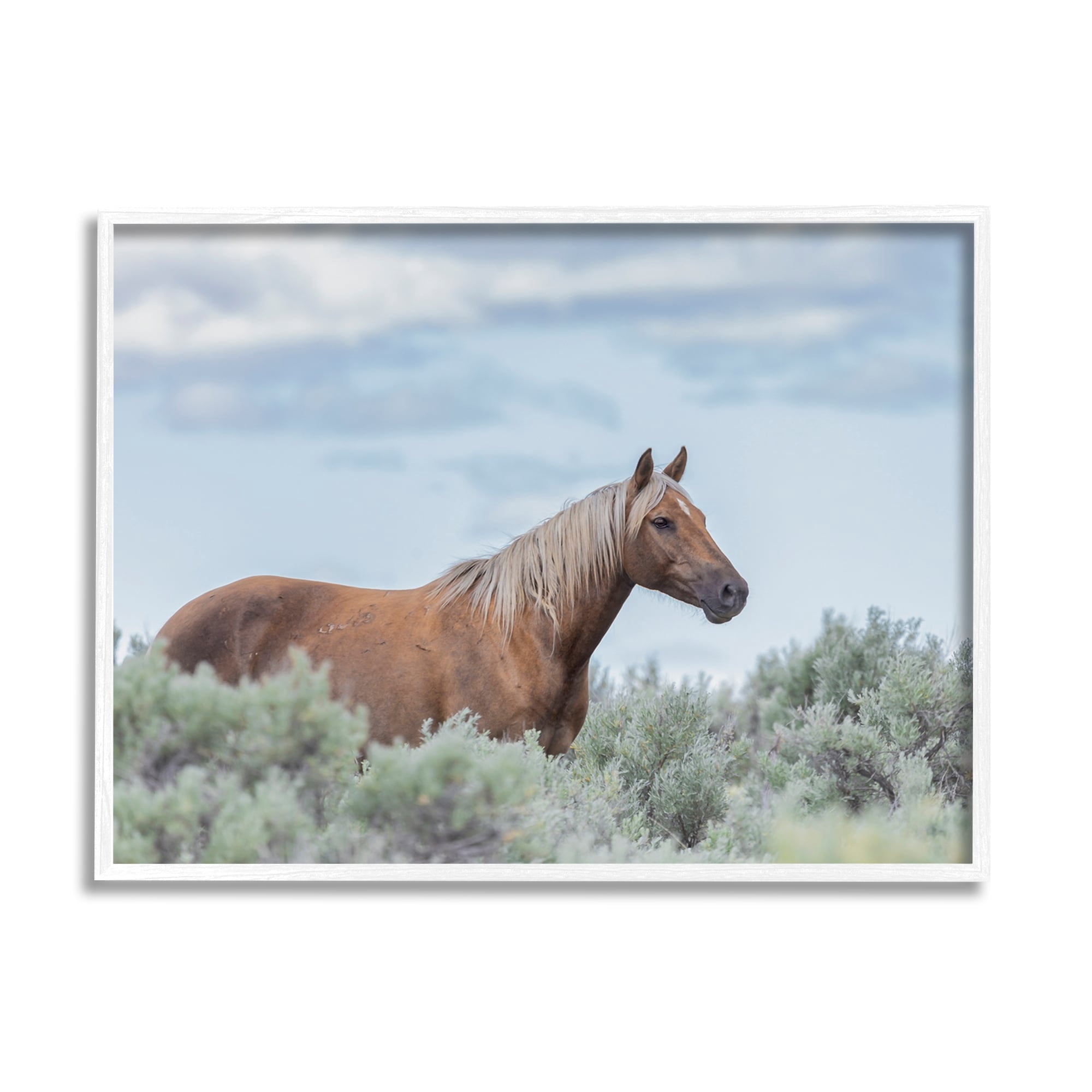 Stupell Industries Stallion Horse Among Bushes Clear Blue Sky Graphic Art White Framed Art Print Wall Art, Design by Lauri McFerrin