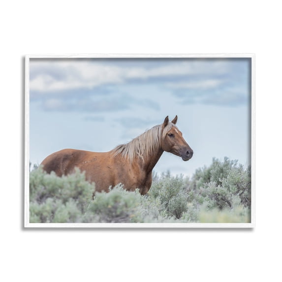 Stupell Industries Stallion Horse Among Bushes Clear Blue Sky Graphic Art White Framed Art Print Wall Art, Design by Lauri McFerrin
