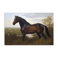 thumbnail image 1 of Stupell Industries Rustic Lodge Stallion in Marshland Canvas Art, 24 x 16, by Creative Studio, 1 of 8