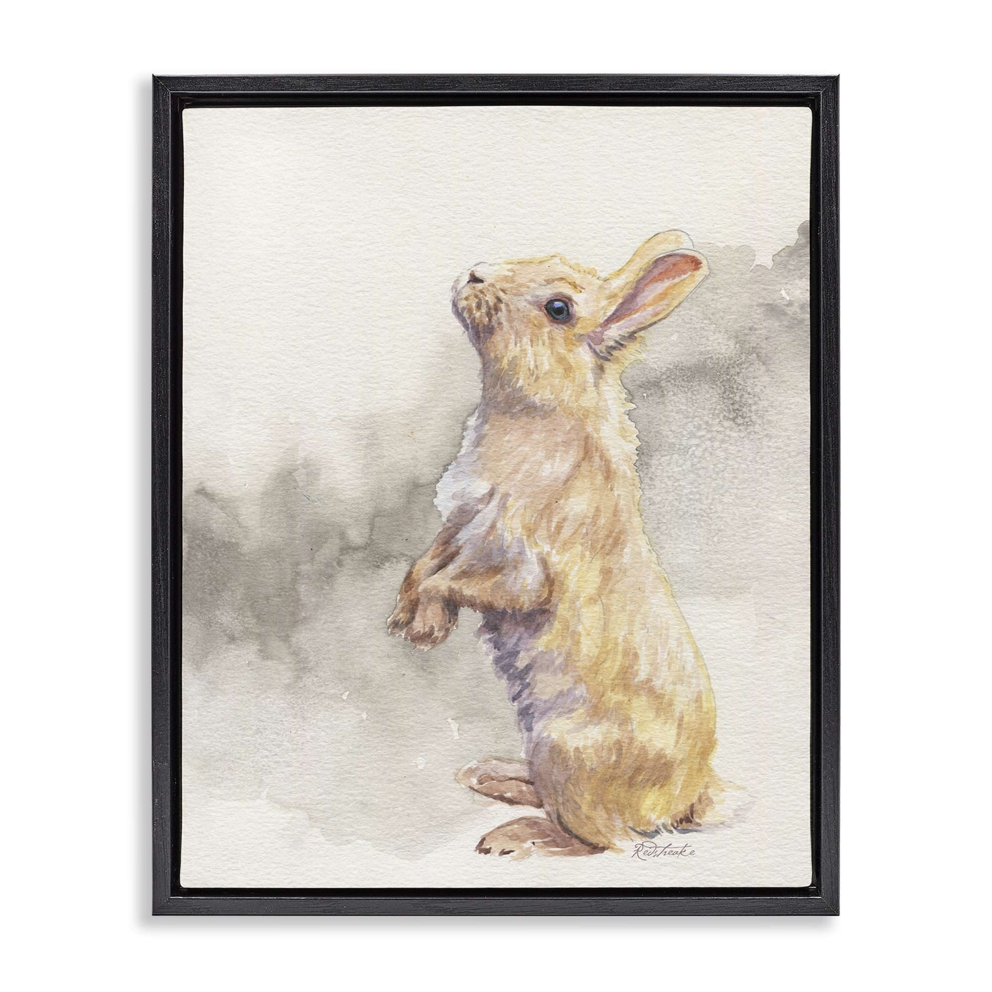 Stupell Industries Standing Bunny Watercolor Animals Painting Black Floater Framed Canvas Art Print Wall Art, 17 x 21