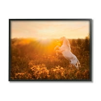 Stupell Industries Standing Horse in Rising Sun Landscape Photography Black Framed Art Print Wall Art, 14 x 11