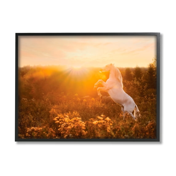 Stupell Industries Standing Horse in Rising Sun Landscape Photography Black Framed Art Print Wall Art, 20 x 16