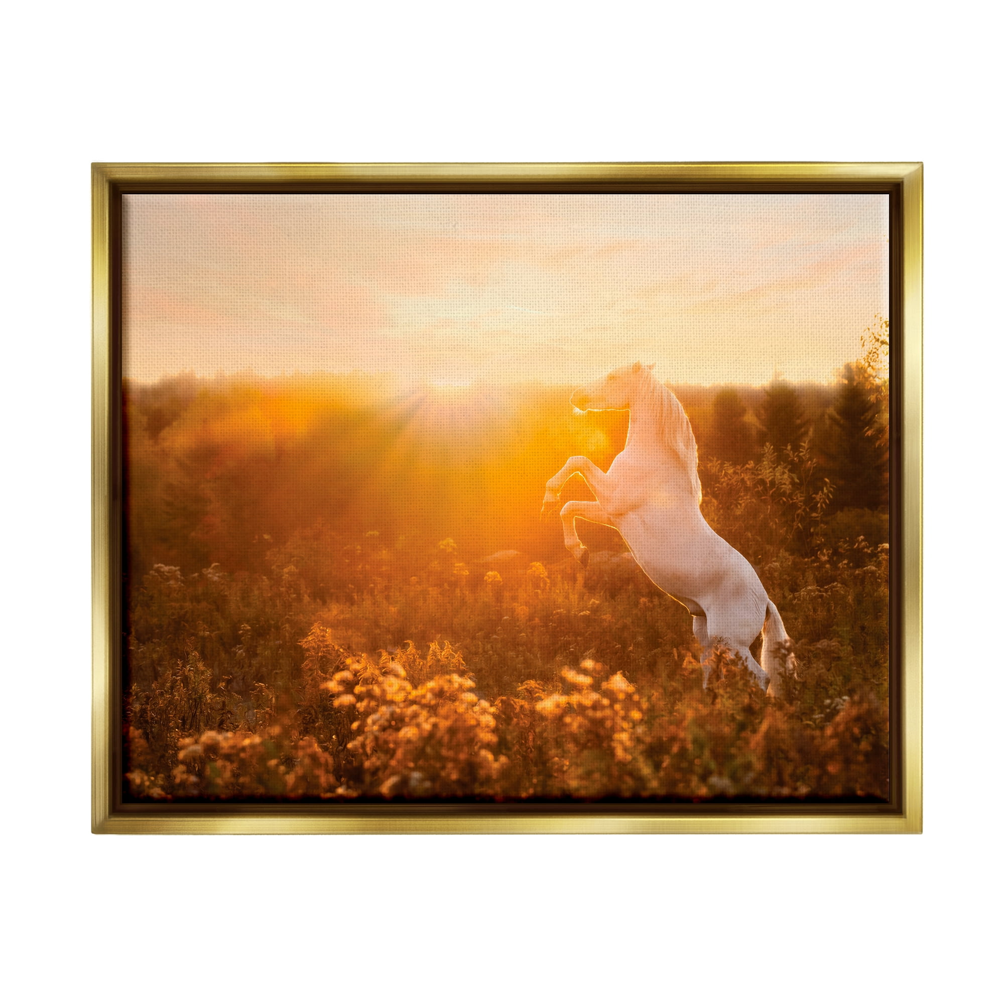Stupell Industries Standing Horse in Rising Sun Landscape Photography Gold Floater Framed Canvas Art Print Wall Art, 31 x 25