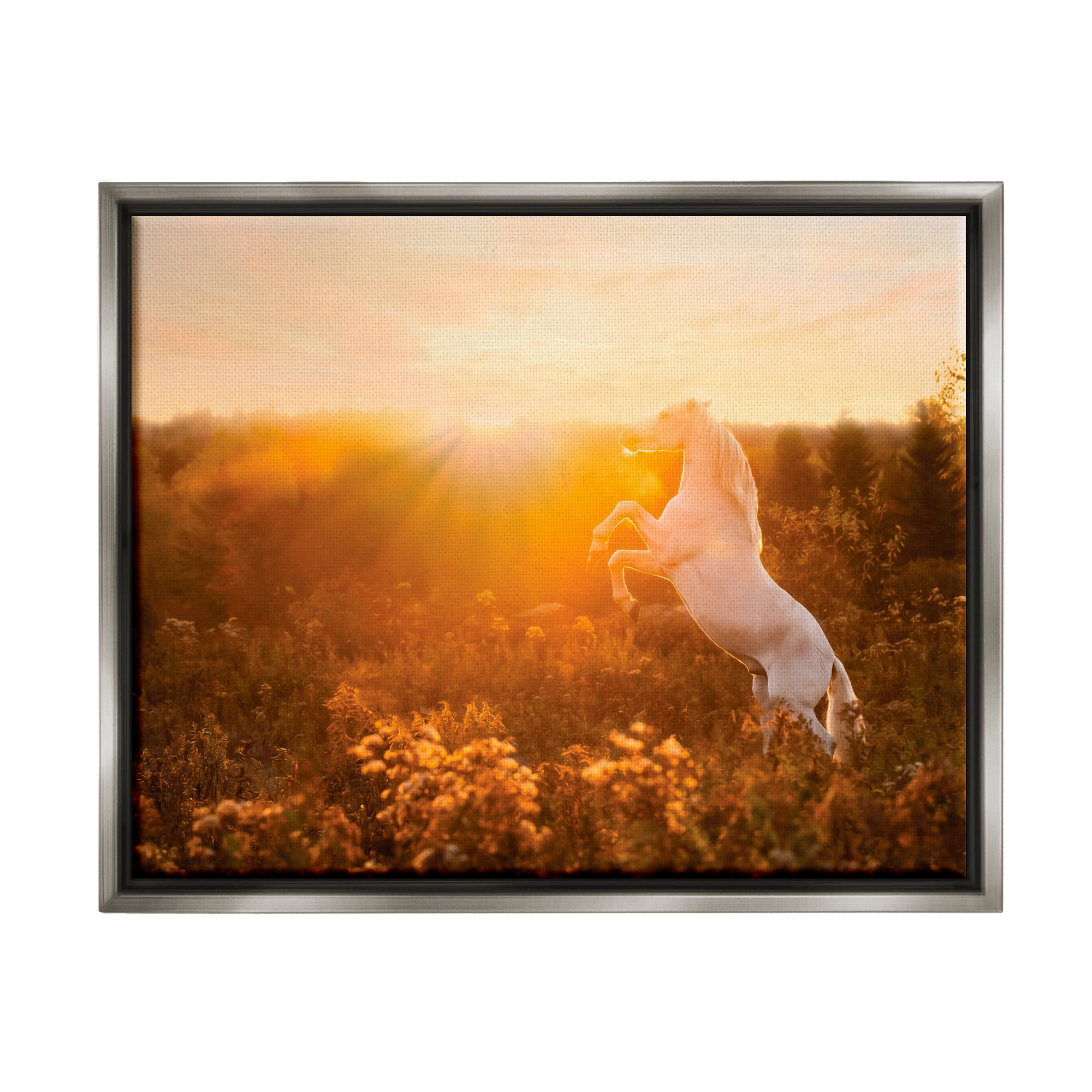 Stupell Industries Standing Horse in Rising Sun Landscape Photography Gray Floater Framed Canvas Art Print Wall Art, 21 x 17