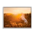 thumbnail image 1 of Stupell Industries Standing Horse in Rising Sun Landscape Photography Gray Framed Art Print Wall Art, 20 x 16, 1 of 9
