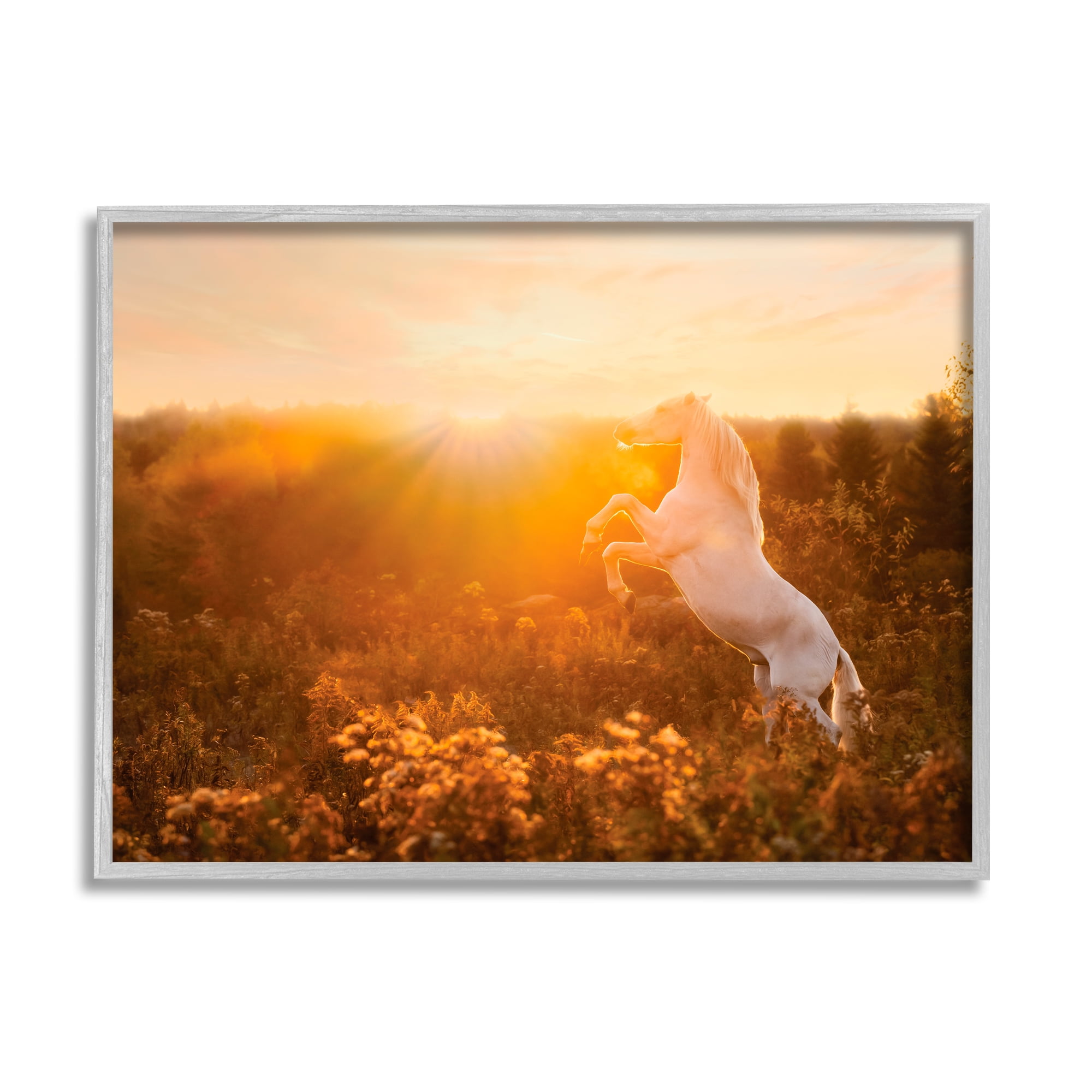 Stupell Industries Standing Horse in Rising Sun Landscape Photography Gray Framed Art Print Wall Art, 30 x 24