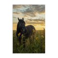 thumbnail image 1 of Stupell Industries Farmhouse Standing In Field Of Flowers Canvas Art, 24 x 36, by Creative Studio, 1 of 8