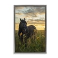 thumbnail image 1 of Stupell Industries Farmhouse Standing In Field Of Flowers Gray Floating Frame Canvas Art, 21 x 31, by Creative Studio, 1 of 8