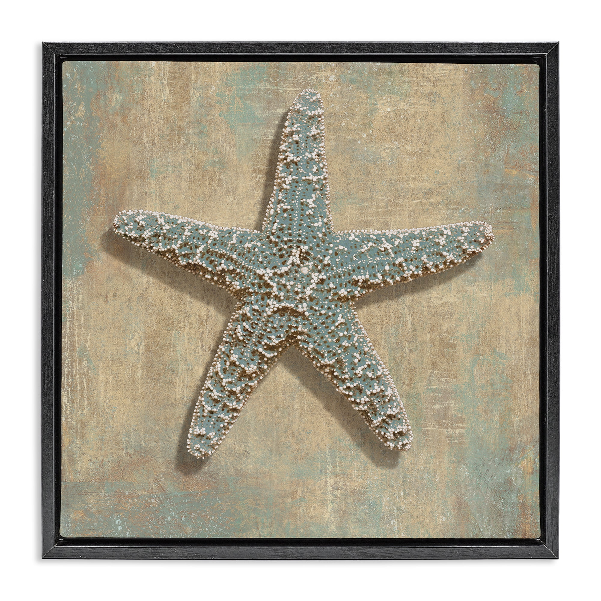 Stupell Industries Starfish Beach Objects Design Nature Painting Black Floater Framed Canvas Art Print Wall Art, 18 x 18