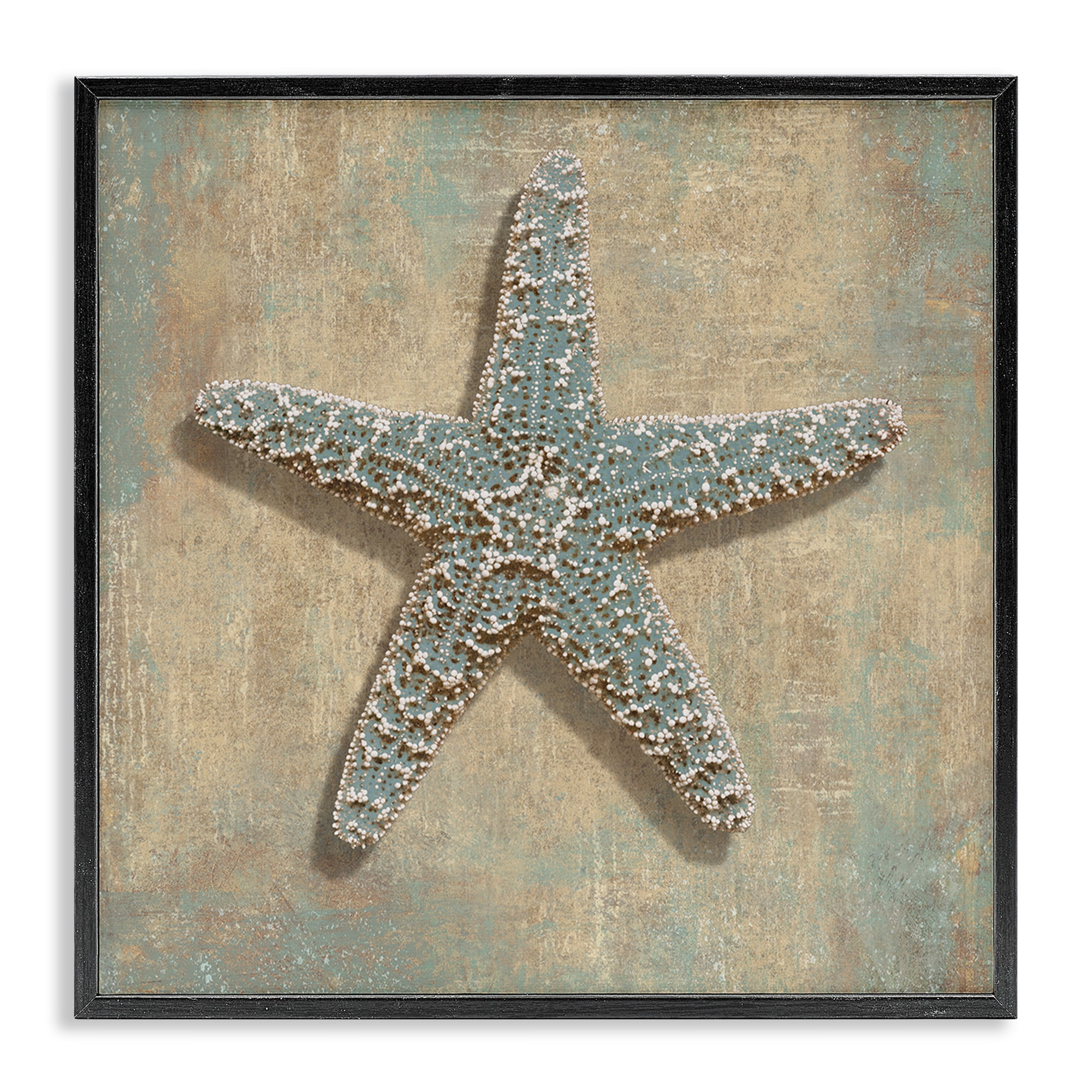 Stupell Industries Starfish Beach Objects Design Nature Painting Black Framed Art Print Wall Art, 24 x 24