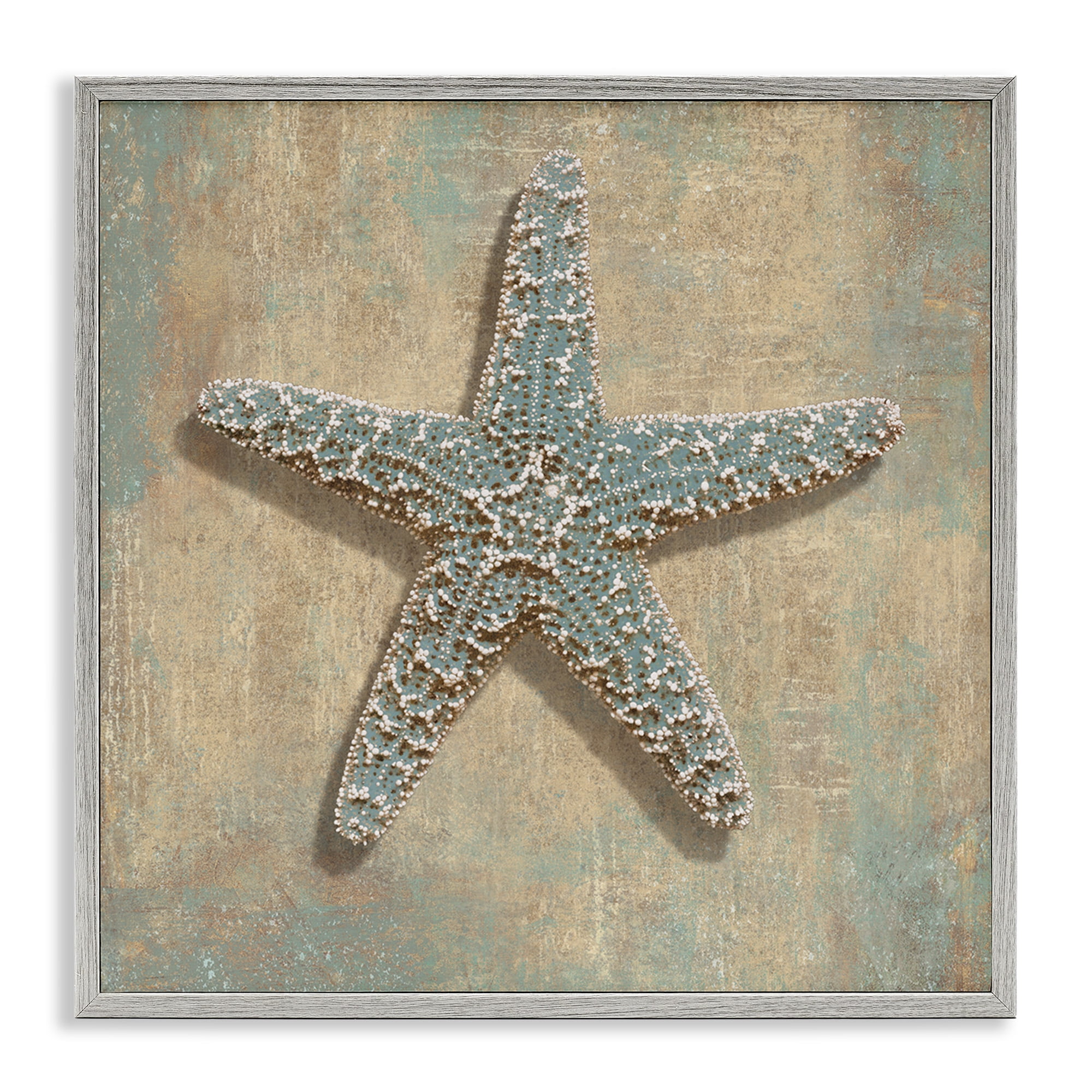Stupell Industries Starfish Beach Objects Design Nature Painting Gray Framed Art Print Wall Art, 24 x 24