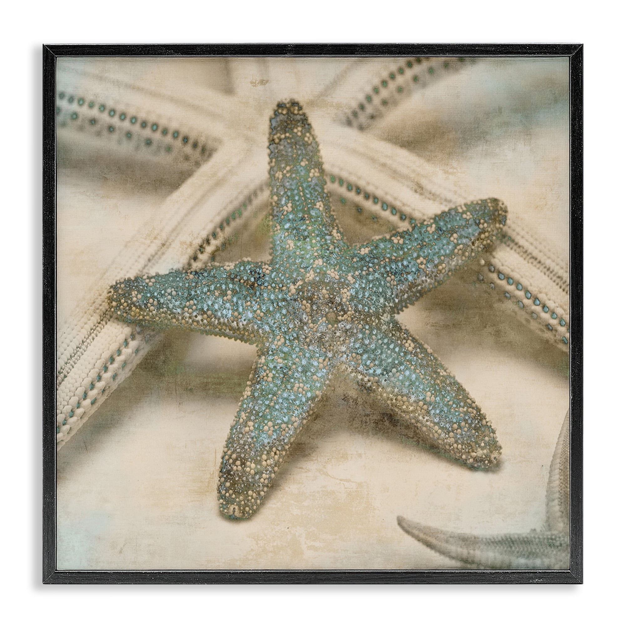 Stupell Industries Starfish Distressed Texture Blue Tan Design Framed Wall Art by Ziwei Li