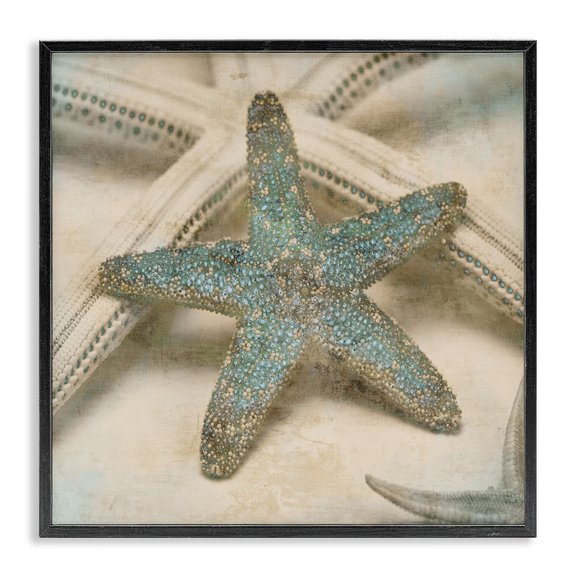 Stupell Industries Starfish Distressed Texture Blue Tan Design Framed Wall Art by Ziwei Li