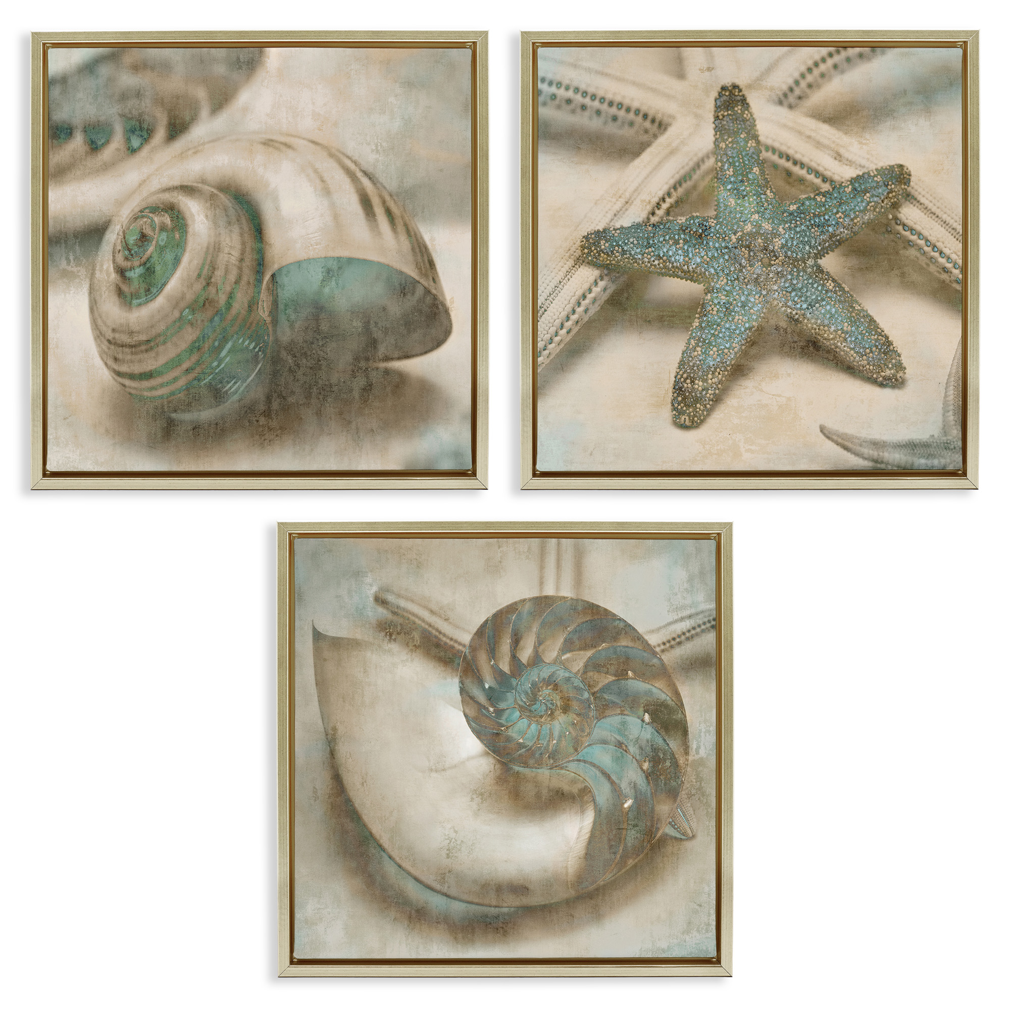 Stupell Industries Starfish & Sea Shells Distressed Nature Painting Gold Floater Framed Canvas Art Print Wall Art, 25 x 25, Set of 3
