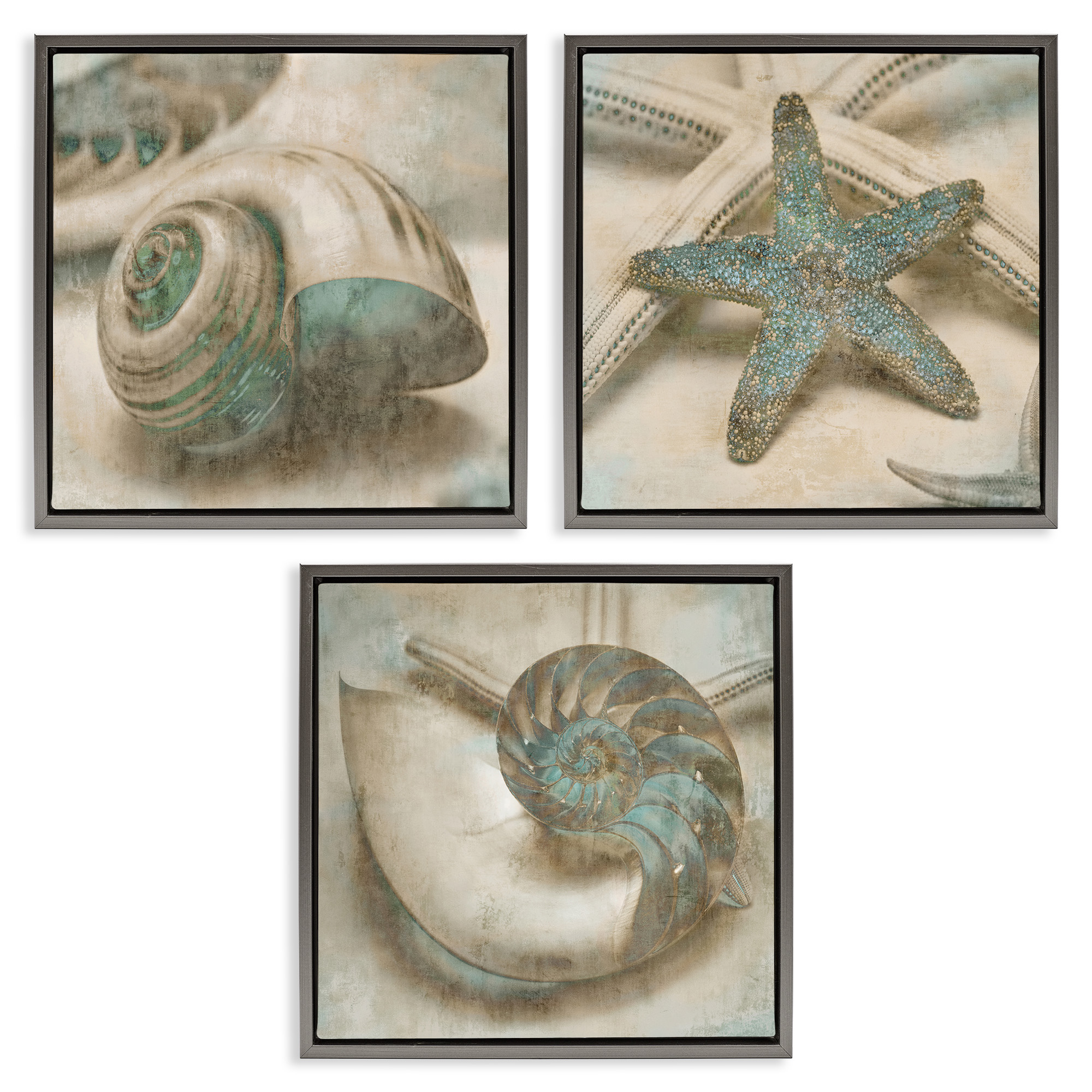 Stupell Industries Starfish & Sea Shells Distressed Nature Painting Gray Floater Framed Canvas Art Print Wall Art, 18 x 18, Set of 3