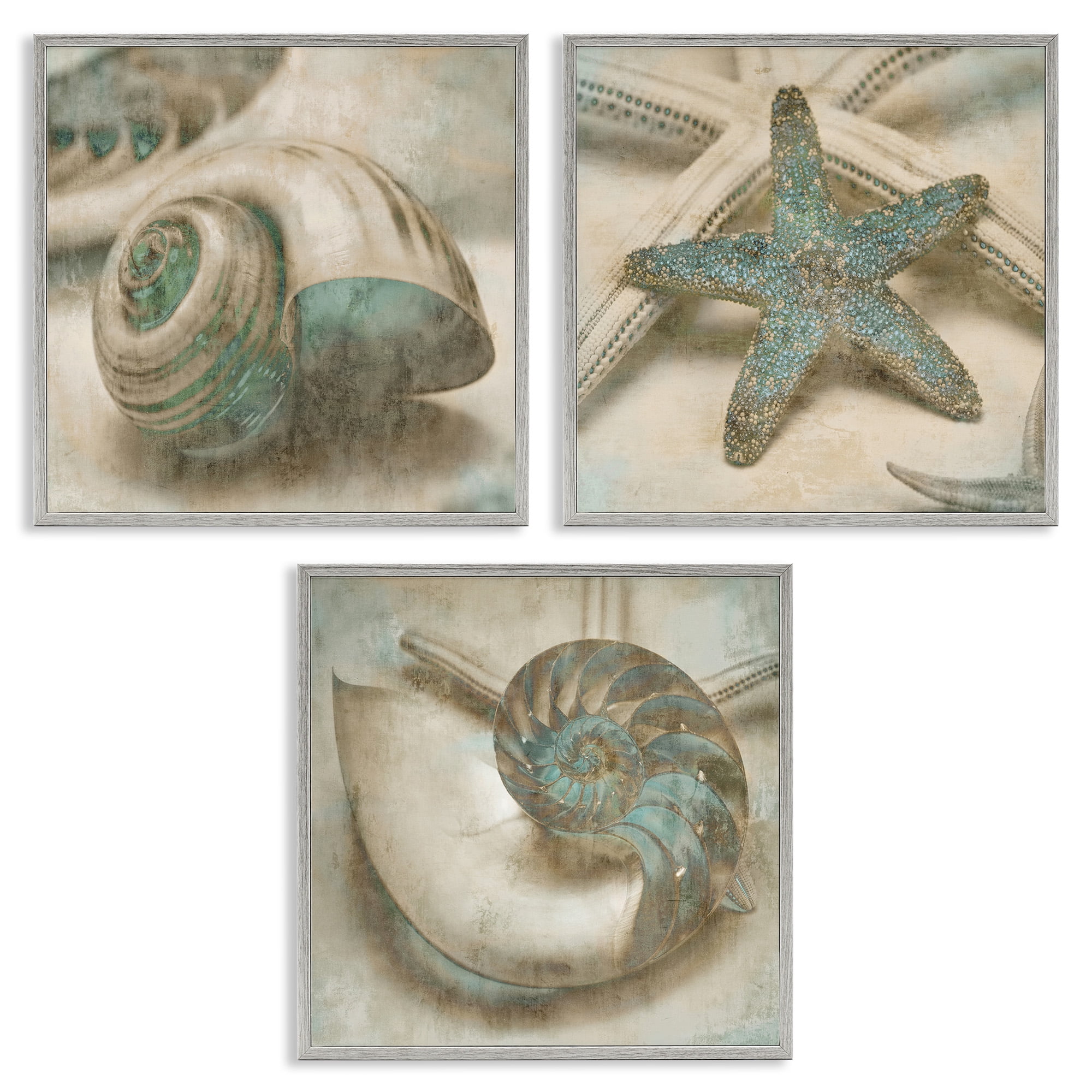Stupell Industries Starfish & Sea Shells Distressed Nature Painting Gray Framed Art Print Wall Art, 17 x 17, Set of 3