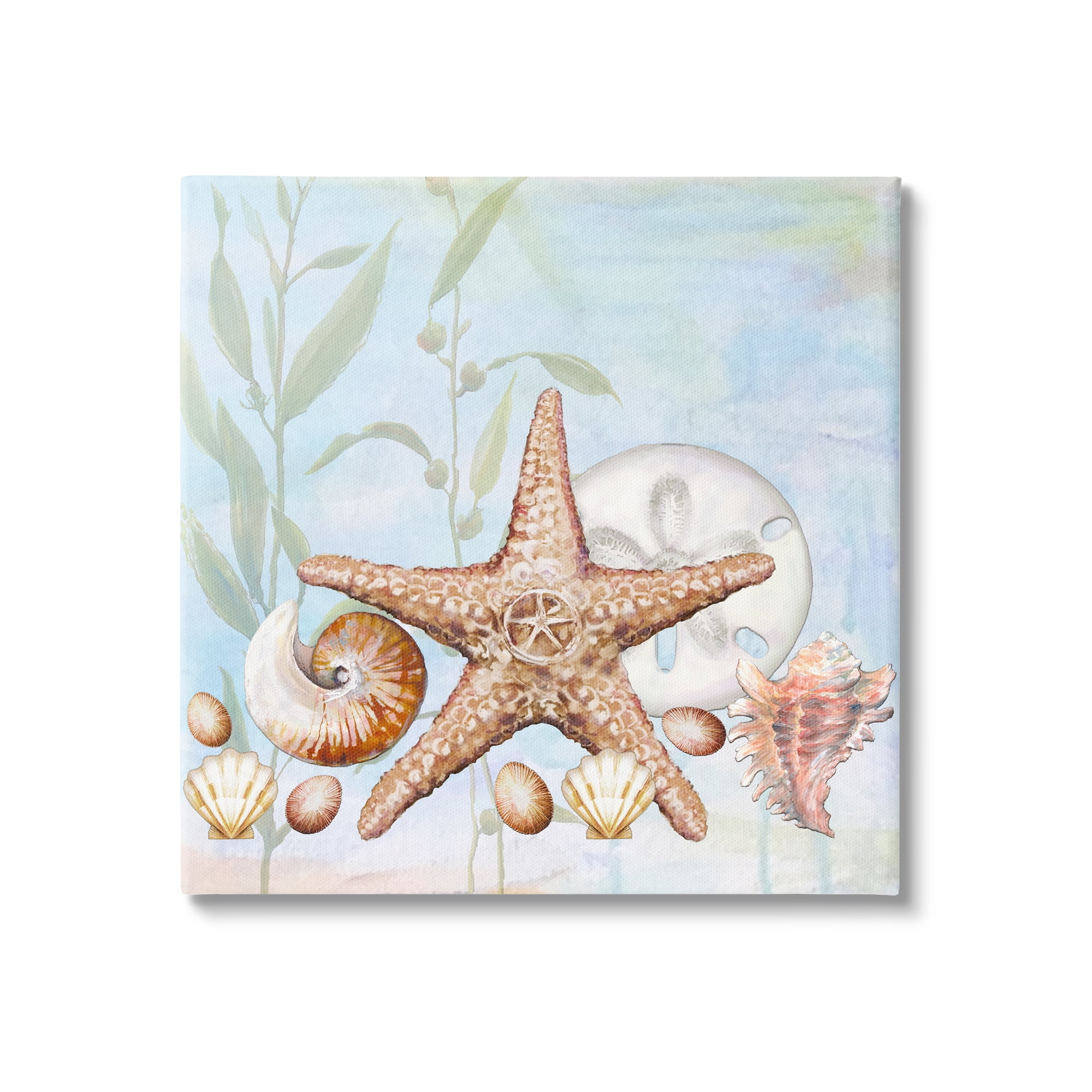 Seashells by MillhillA Starfish / Sea Star Collection