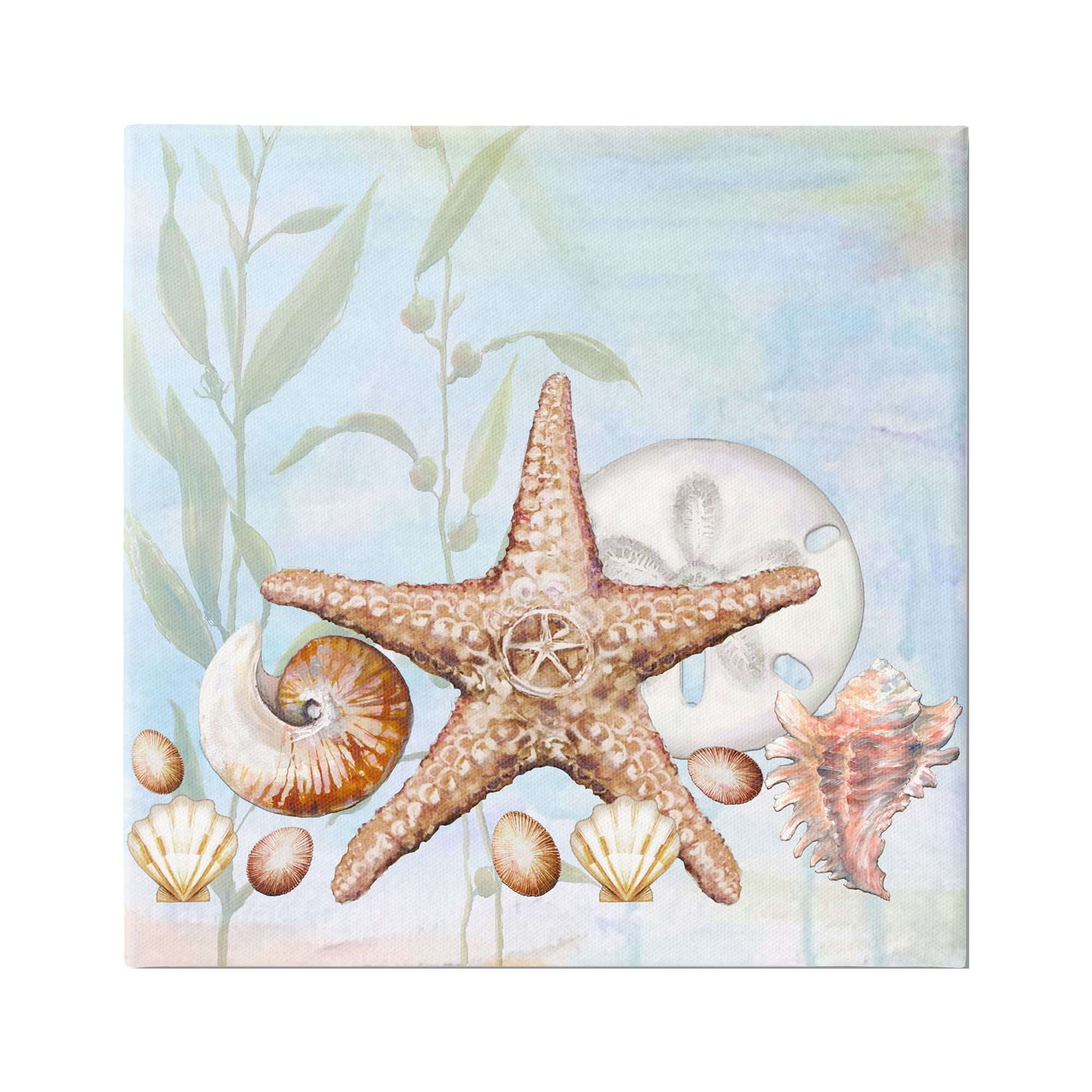 Stupell Industries Starfish Seashells Underwater Plants Ocean Beach Painting Canvas Wall Art, 36 x 36, Design by Diannart