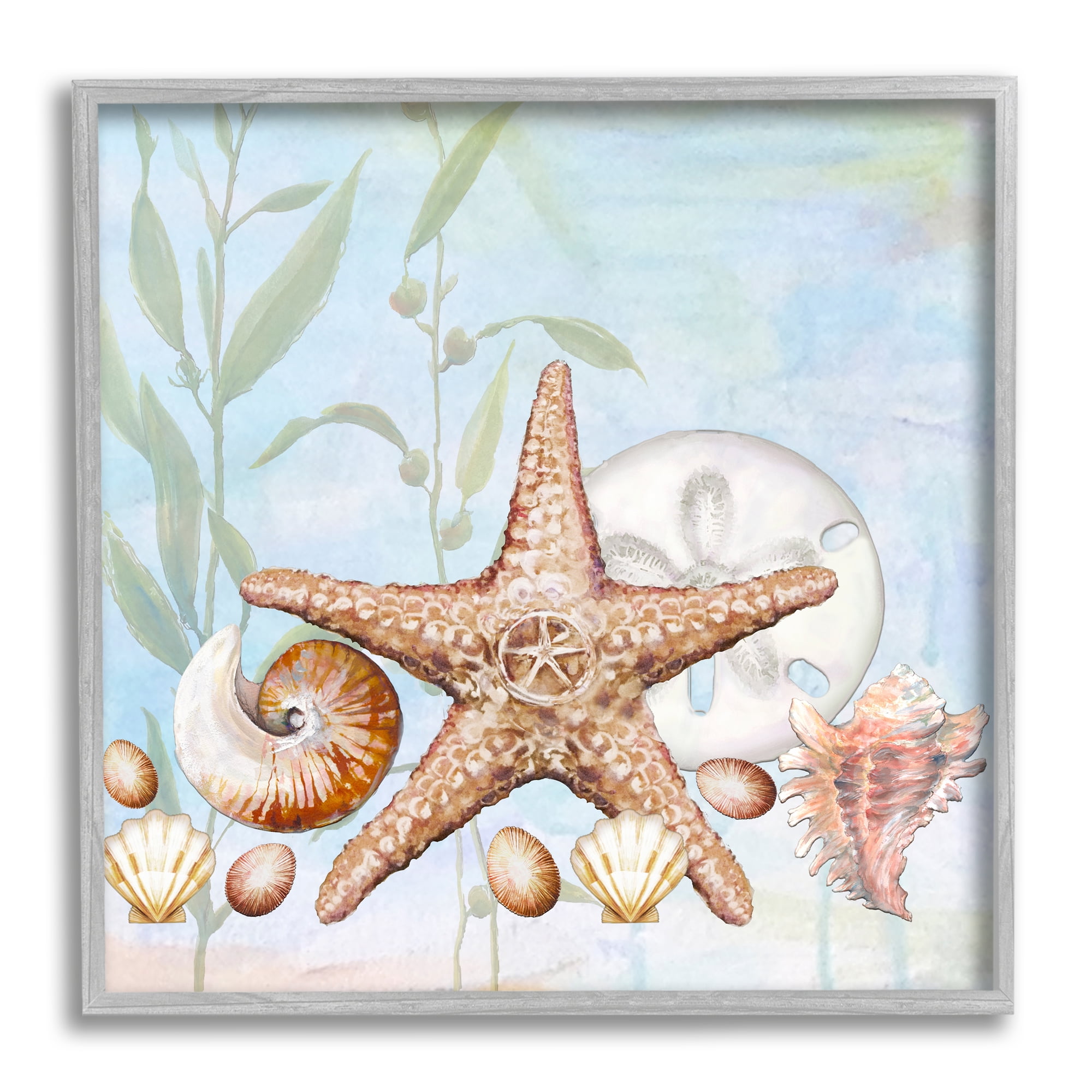 Stupell Industries Starfish Seashells Underwater Plants Ocean Beach Painting Framed Wall Art, 12 x 12, Design by Diannart