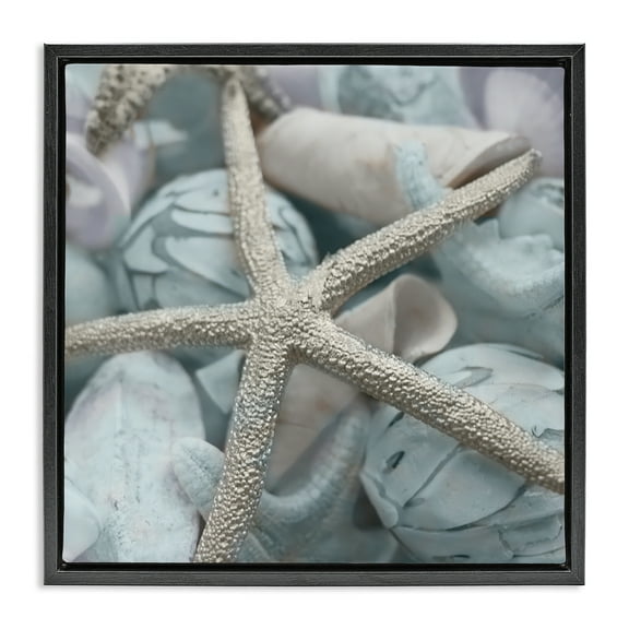 Stupell Industries Starfish & Various Shells Nautical & Beach Photography Black Floater Framed Canvas Art Print Wall Art, 18 x 18