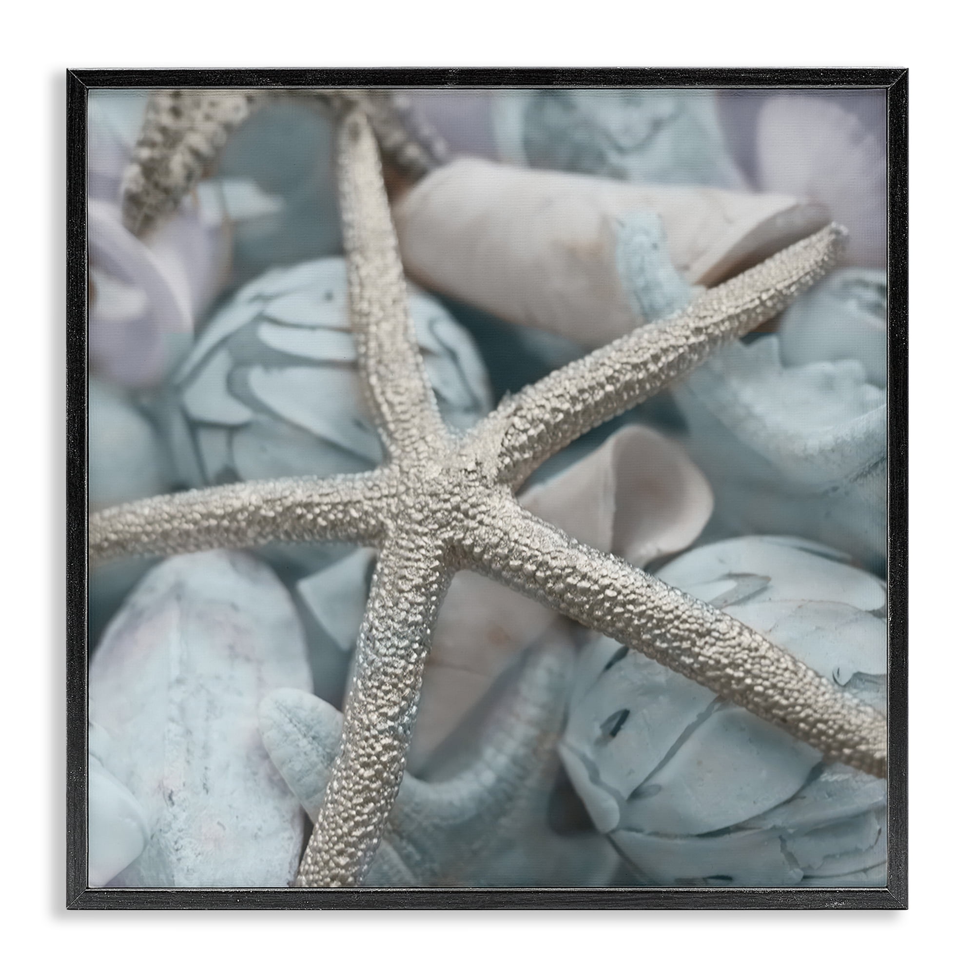 Stupell Industries Starfish & Various Shells Nautical & Beach Photography Black Framed Art Print Wall Art, 17 x 17