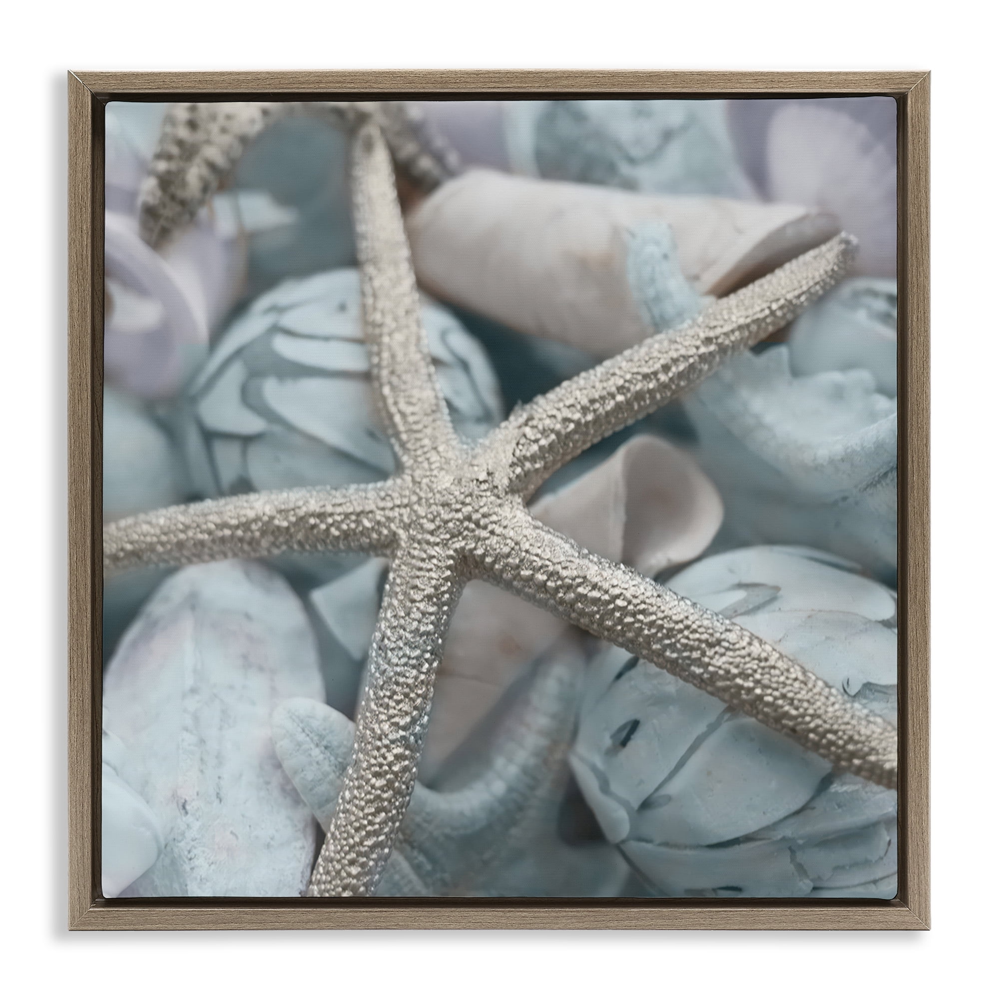 Stupell Industries Starfish & Various Shells Nautical & Beach Photography Brown Floater Framed Canvas Art Print Wall Art, 18 x 18