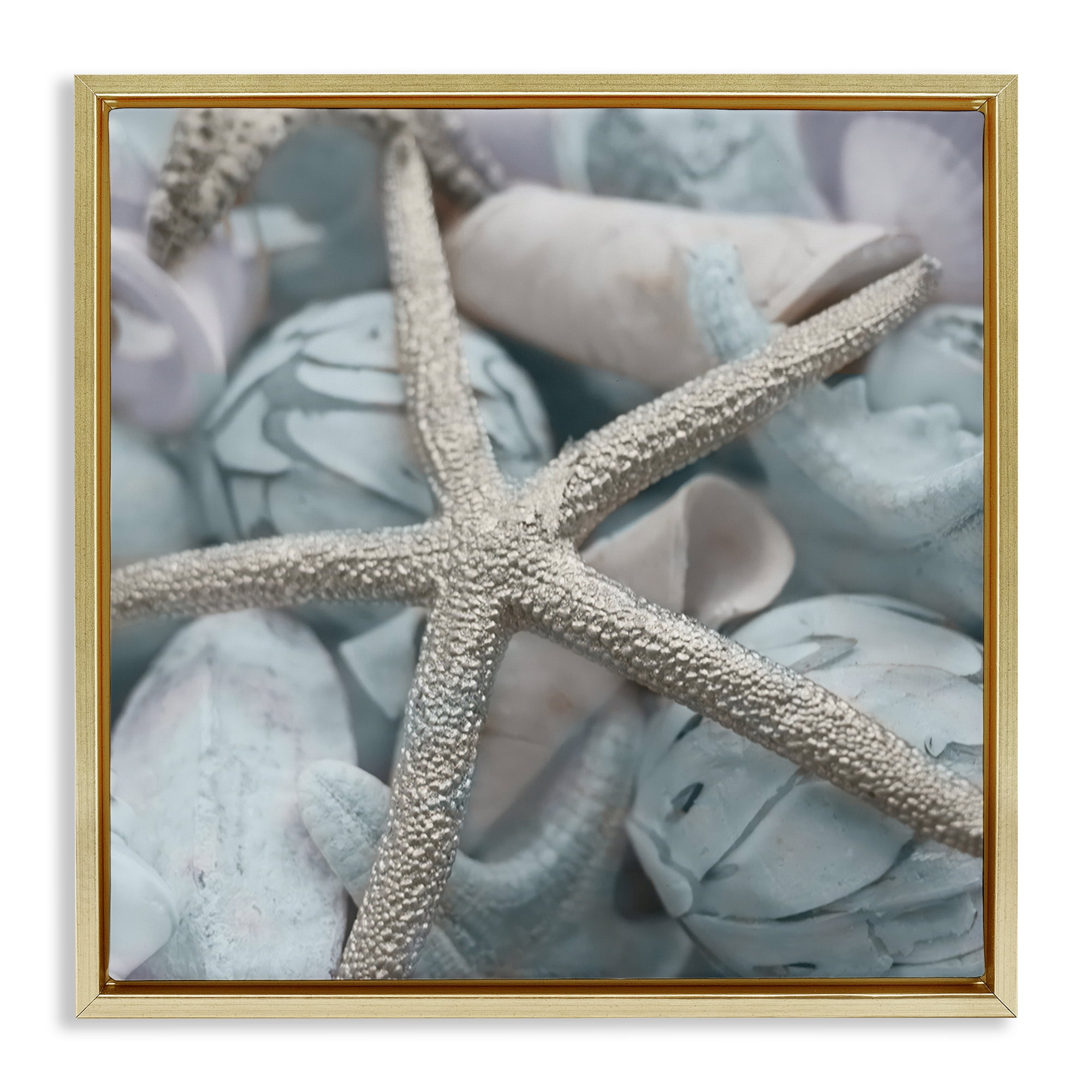 Stupell Industries Starfish & Various Shells Nautical & Beach Photography Gold Floater Framed Canvas Art Print Wall Art, 25 x 25