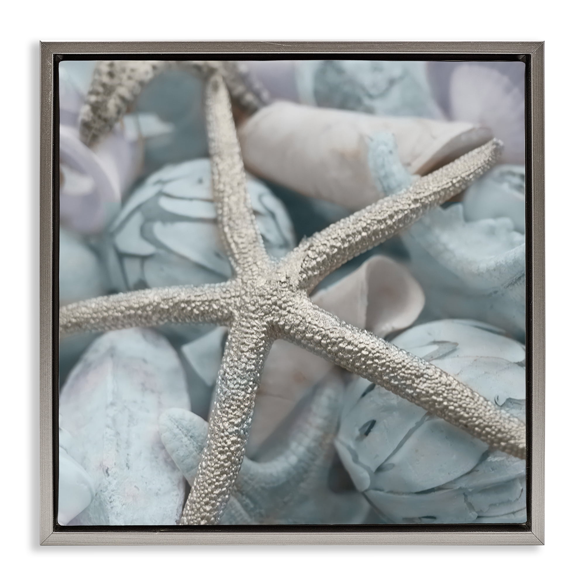 Stupell Industries Starfish & Various Shells Nautical & Beach Photography Gray Floater Framed Canvas Art Print Wall Art, 25 x 25