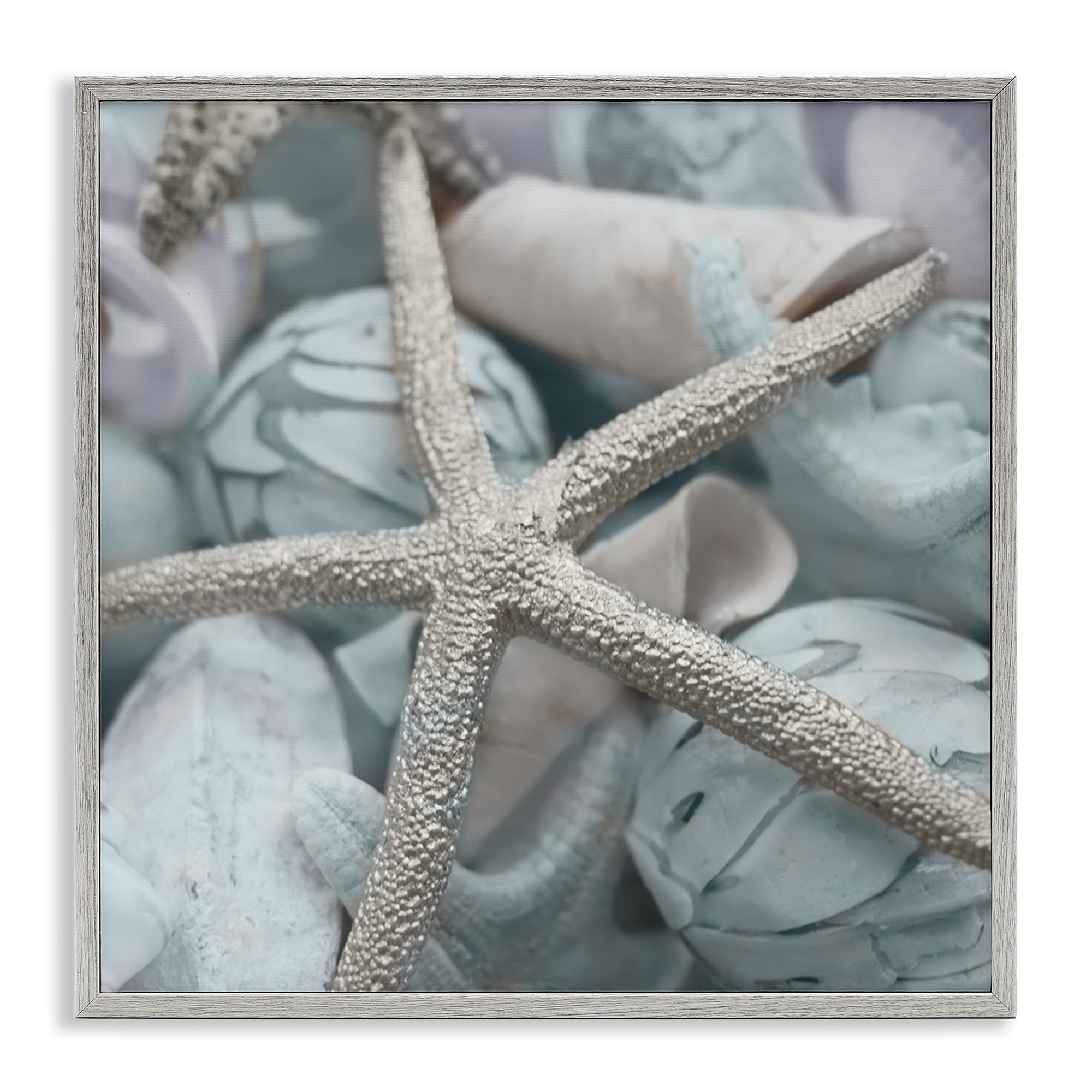 Stupell Industries Starfish & Various Shells Nautical & Beach Photography Gray Framed Art Print Wall Art, 24 x 24