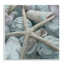 Stupell Industries Starfish & Various Shells Nautical & Beach Photography Unframed Art Print Wall Art, 12 x 12