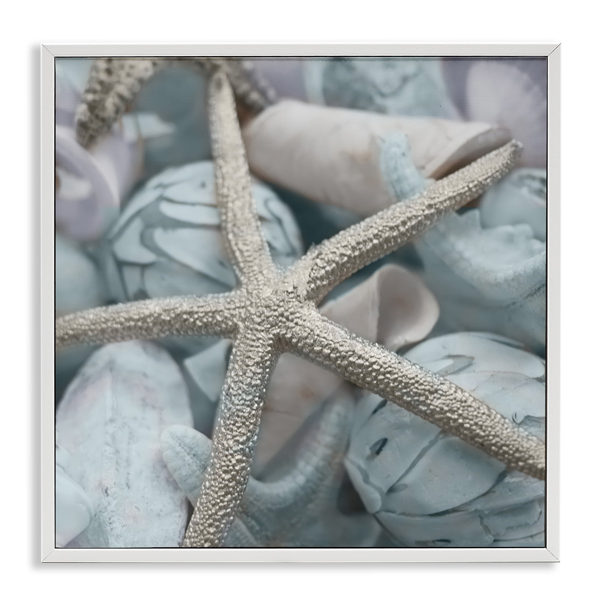 Stupell Industries Starfish & Various Shells Nautical & Beach Photography White Framed Art Print Wall Art, 24 x 24