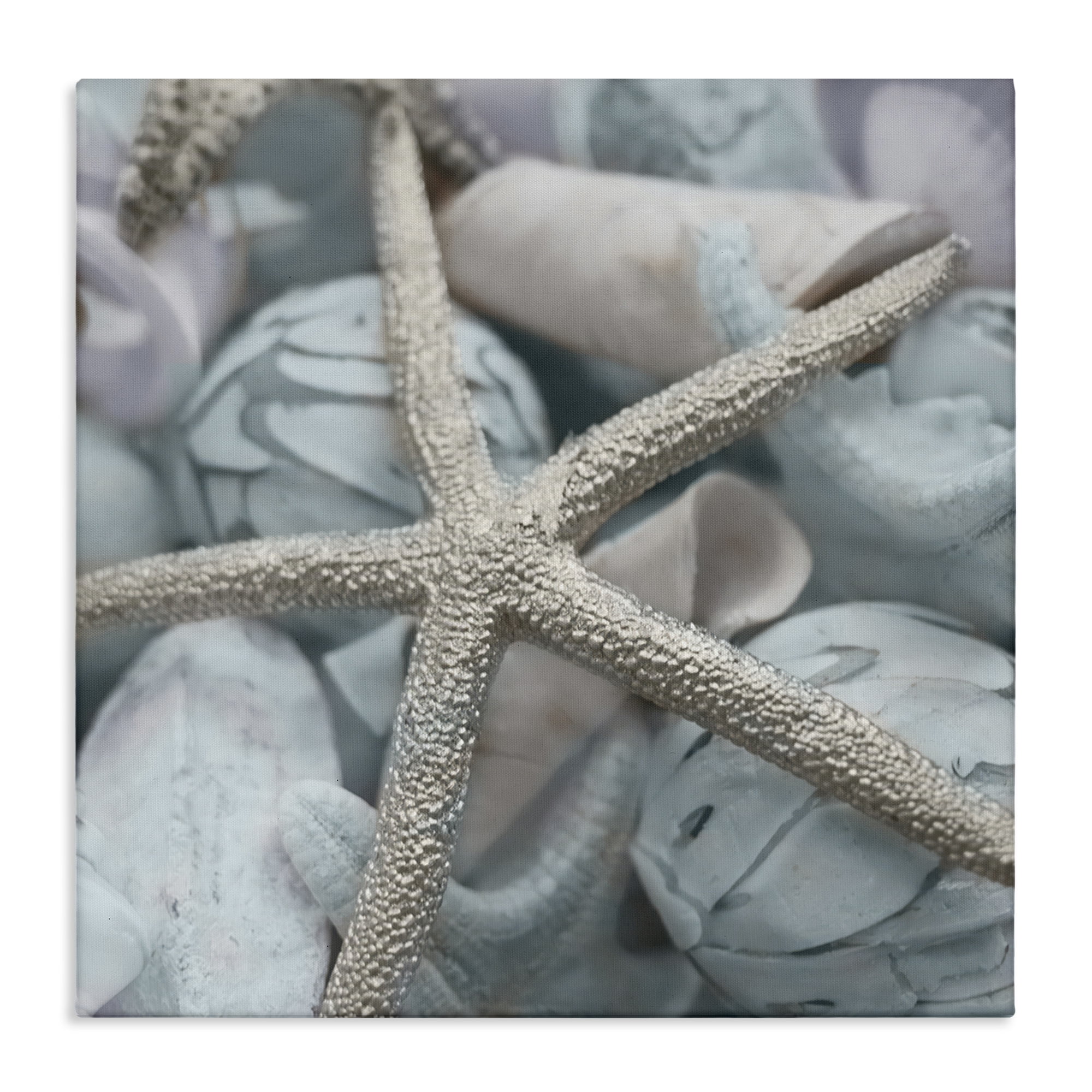 Stupell Industries Starfish & Various Shells Nautical & Beach Photography Wrapped Canvas Art Print Wall Art, 30 x 30