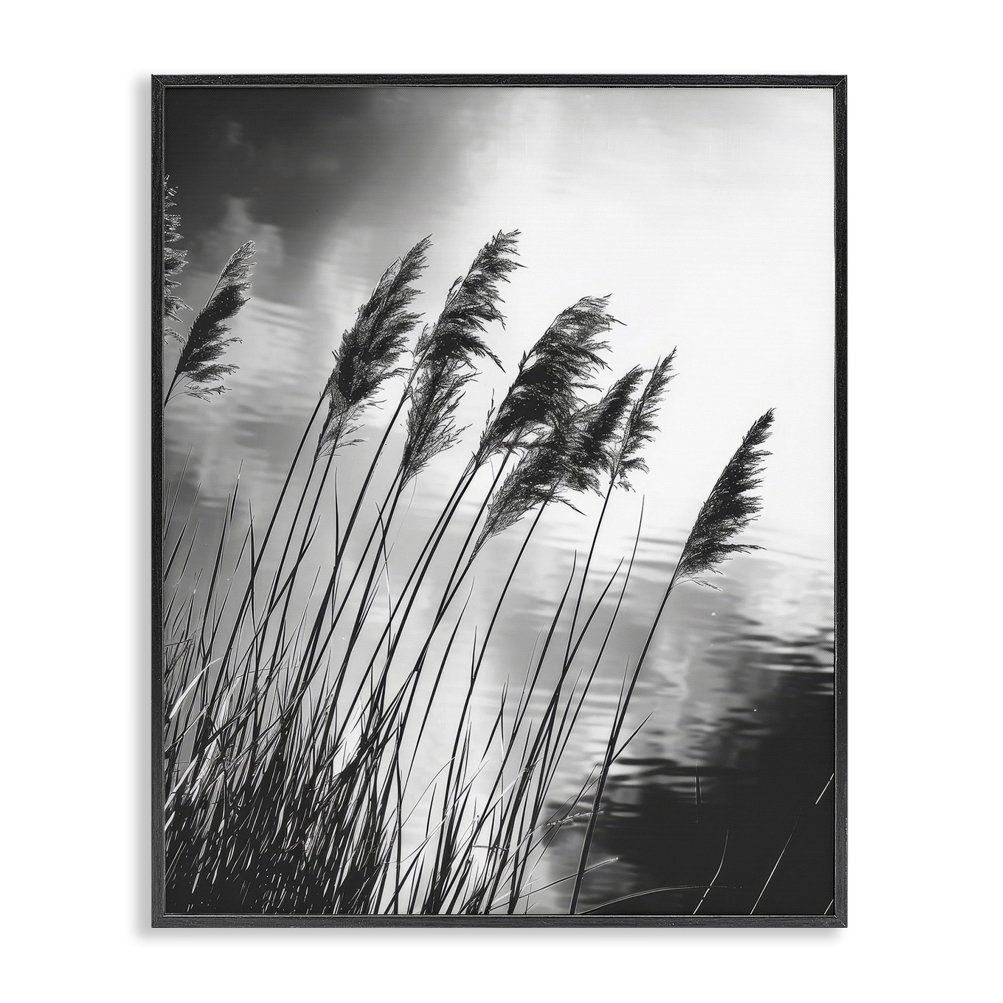 Stupell Industries Stark Contrast Wheat Landscape & Nature Photography Black Framed Art Print Wall Art, 11 x 14