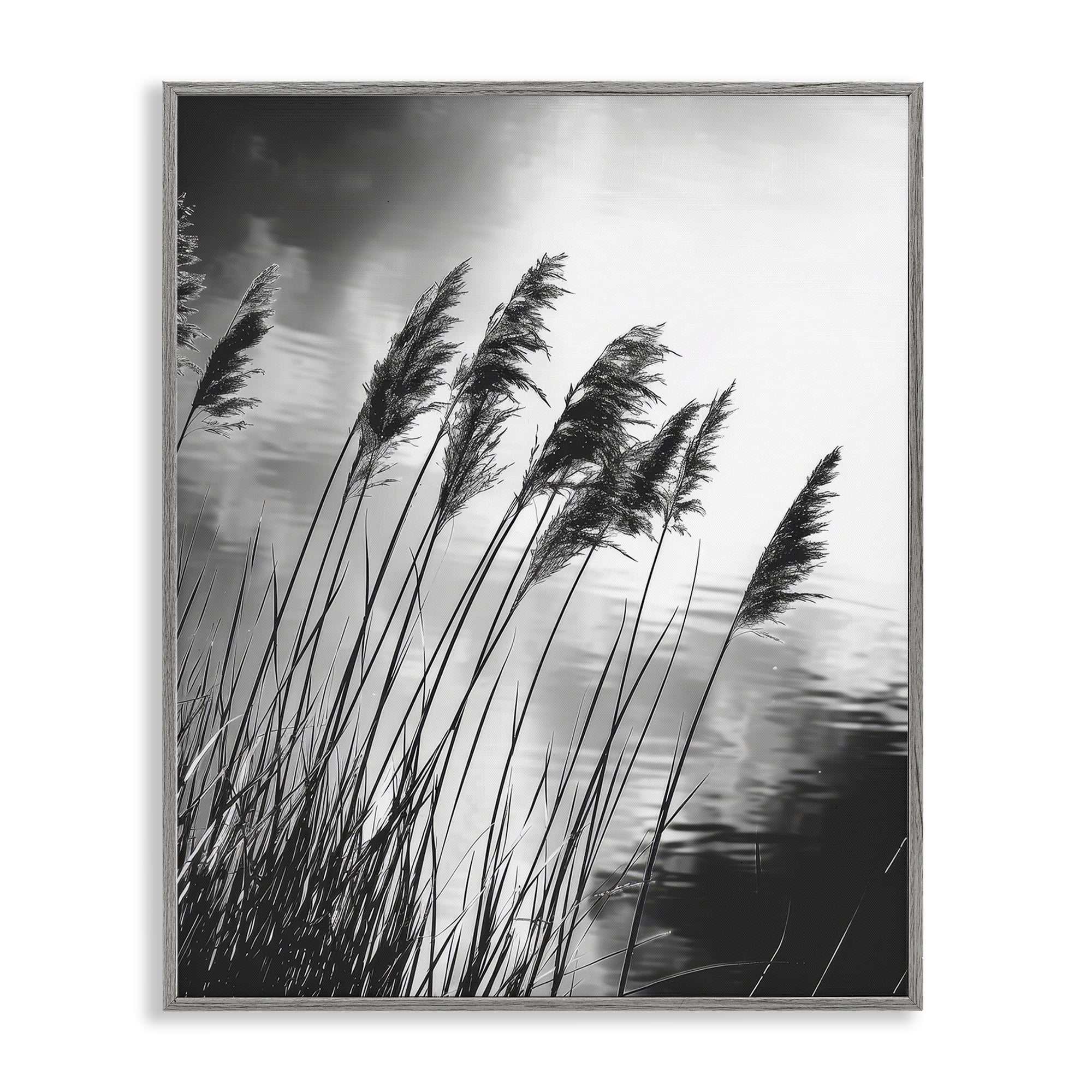 Stupell Industries Stark Contrast Wheat Landscape & Nature Photography Gray Framed Art Print Wall Art, 11 x 14