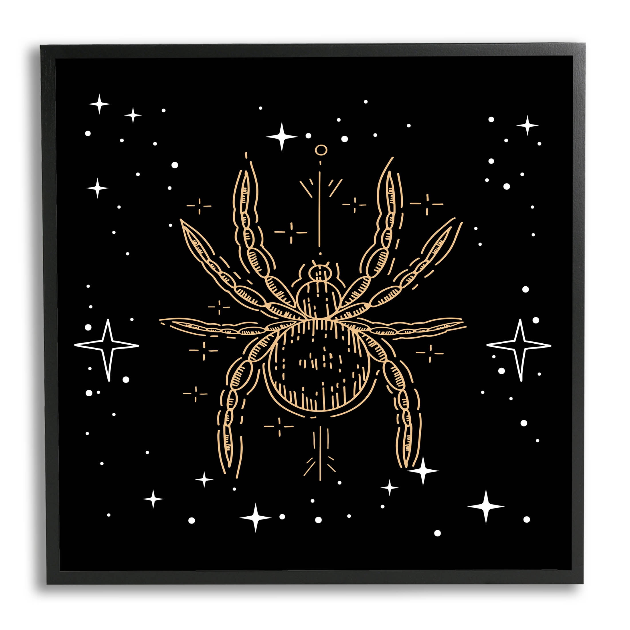 Stupell Industries Starry Halloween Spider Insect Graphic Art Black Framed Art Print Wall Art, Design by Lil' Rue