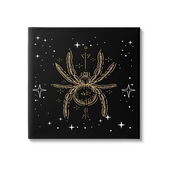 Stupell Industries Starry Halloween Spider Insect Graphic Art Gallery Wrapped Canvas Print Wall Art, Design by Lil' Rue
