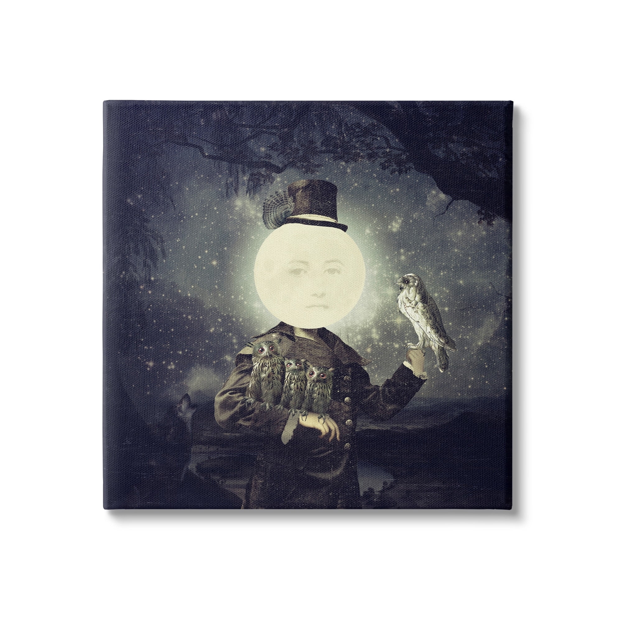Stupell Industries Starry Night Sky Moon Person Bird Botanical Border Canvas Wall Art, 17 x 17, Design by Paula Belle Flores