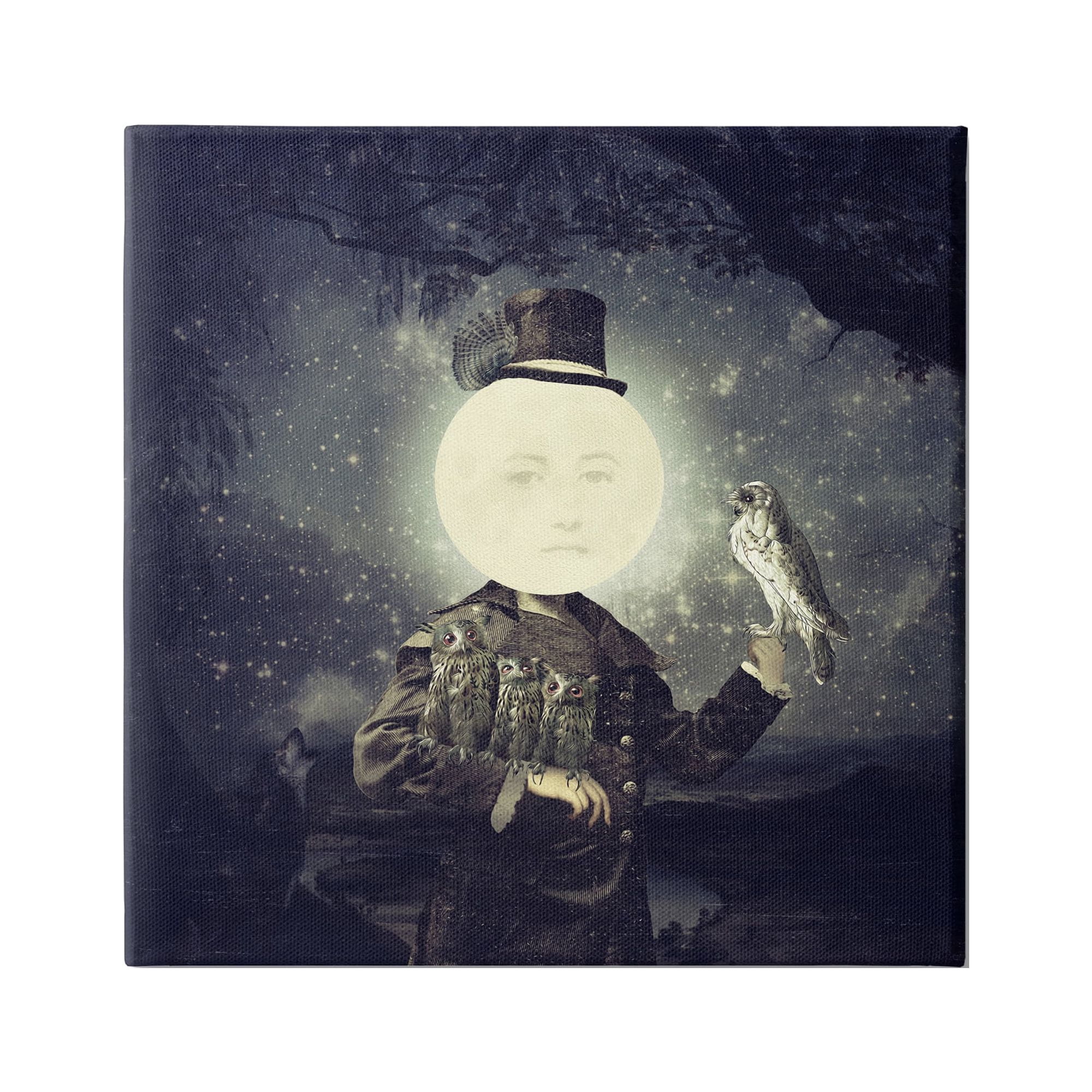 Stupell Industries Starry Night Sky Moon Person Bird Botanical Border Canvas Wall Art, 36 x 36, Design by Paula Belle Flores