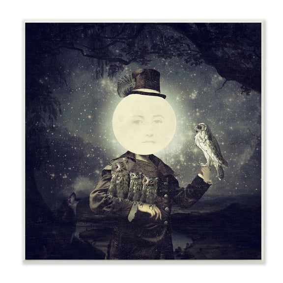 Stupell Starry Night Sky Moon Person Bird Botanical Border Wood Wall Art - Black