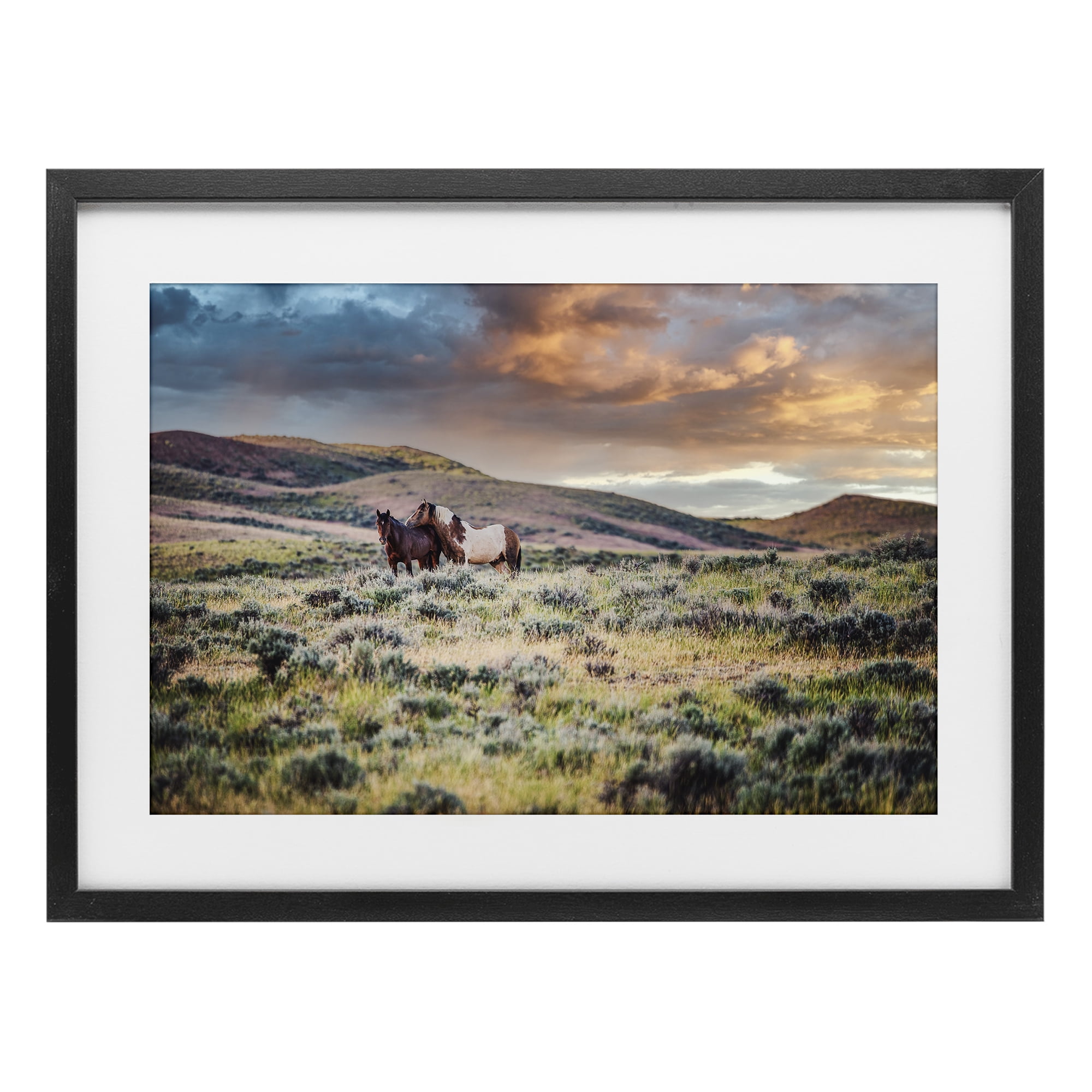 Stupell Industries Stay Close Horses Black Framed Print Under Glass, design by Tim West