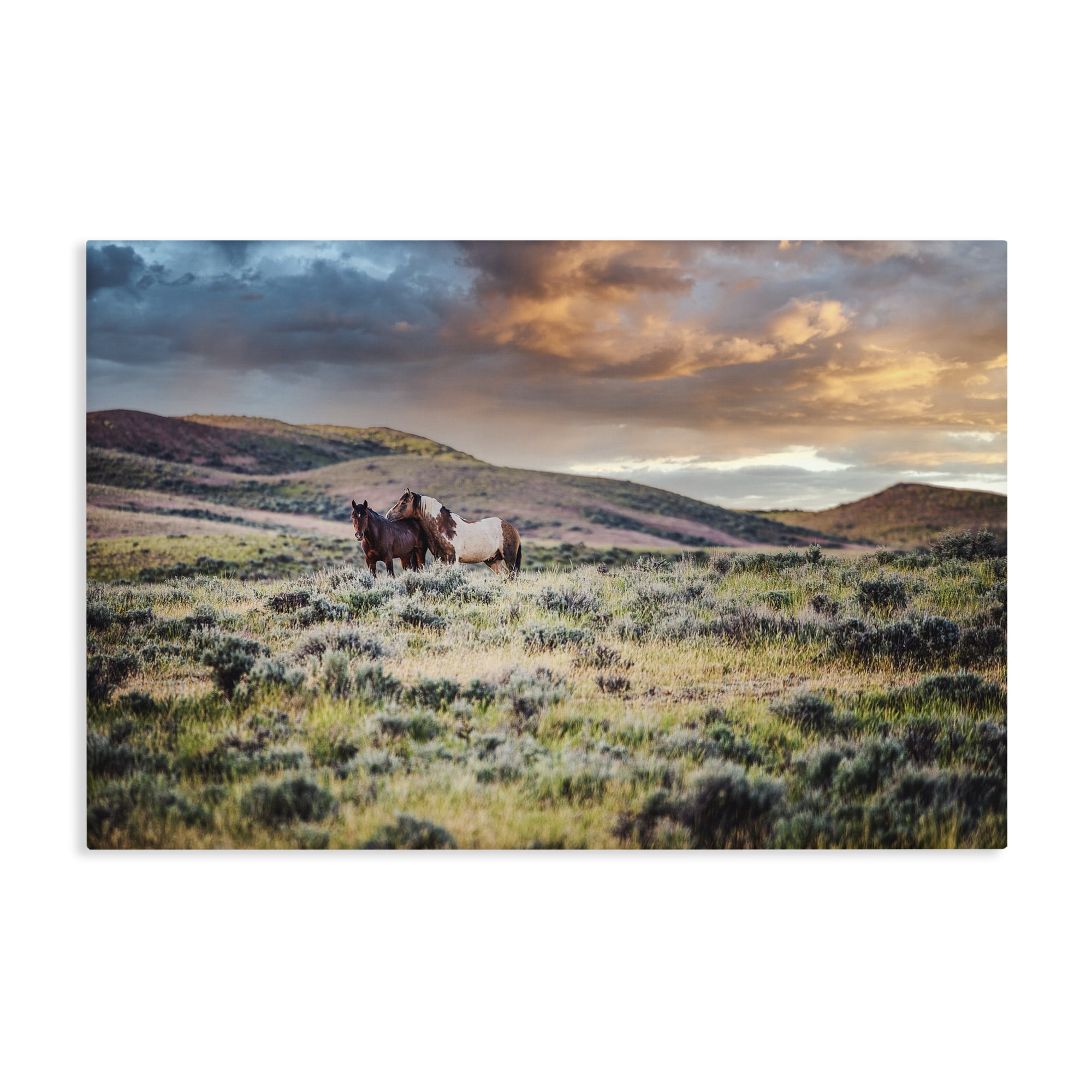 Stupell Industries Stay Close Horses Canvas Wall Art, design by Tim West