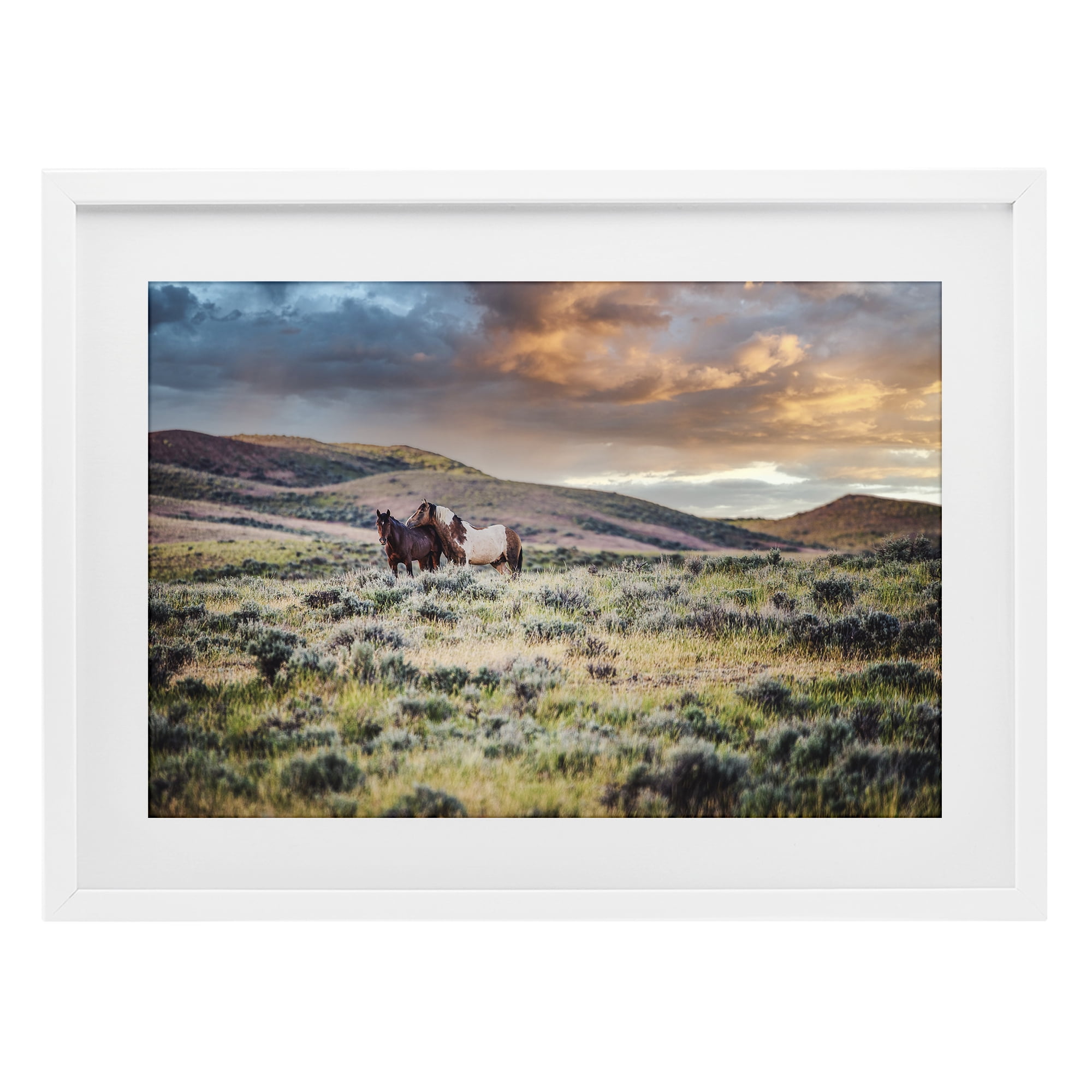 Stupell Industries Stay Close Horses White Framed Print Under Glass, design by Tim West