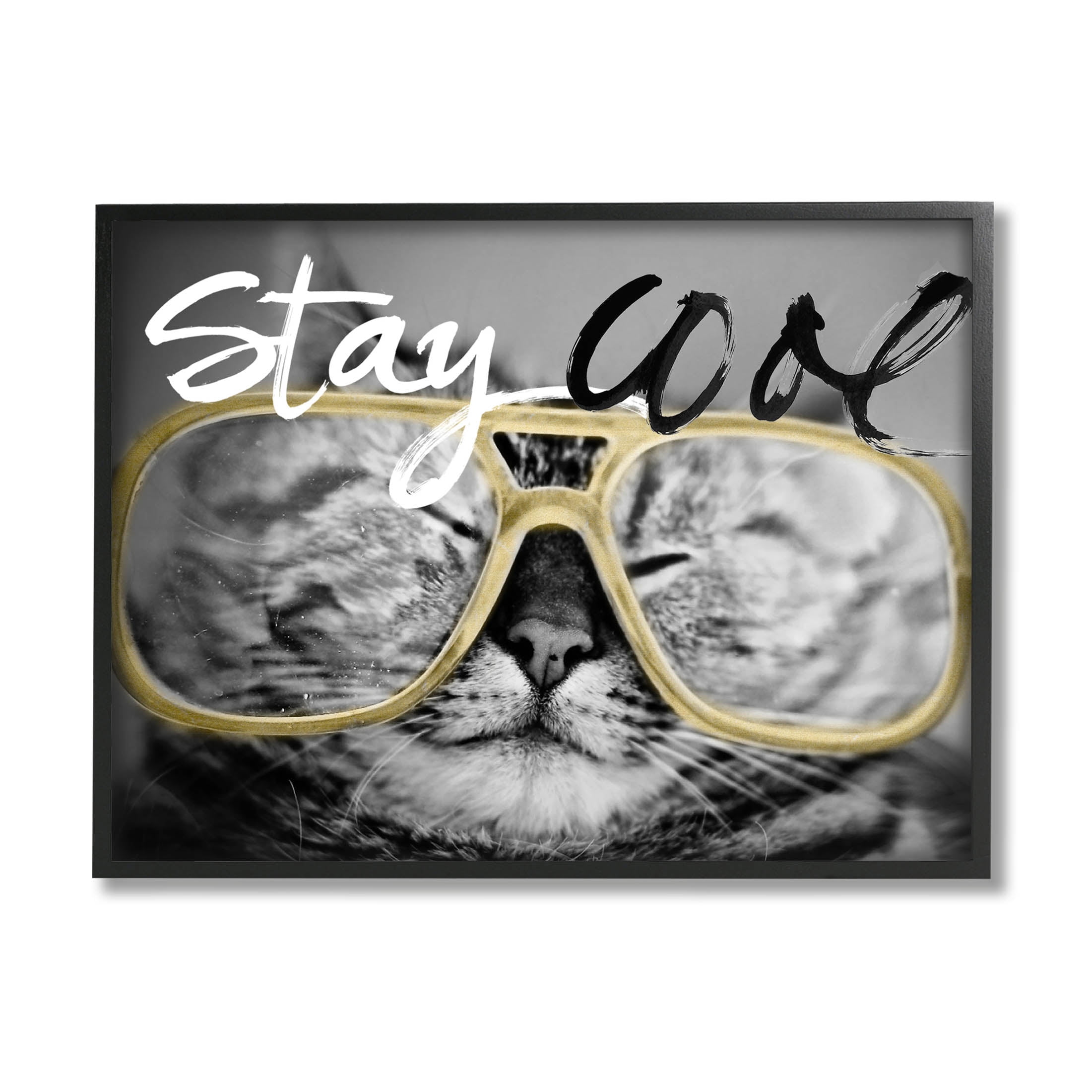 Stupell Industries Stay Cool Cat Glasses Graphic Art Black Framed Art Print Wall Art, Design by Sundance Group