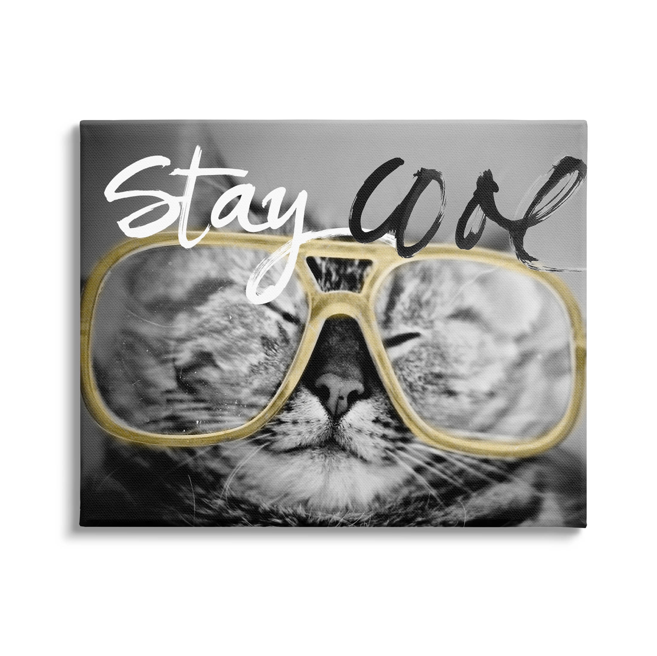 Stupell Industries Stay Cool Cat Glasses Graphic Art Gallery Wrapped Canvas Print Wall Art, Design by Sundance Group