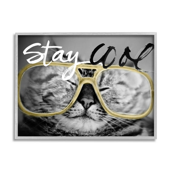 Stupell Industries Stay Cool Cat Glasses Graphic Art Gray Framed Art Print Wall Art, Design by Sundance Group