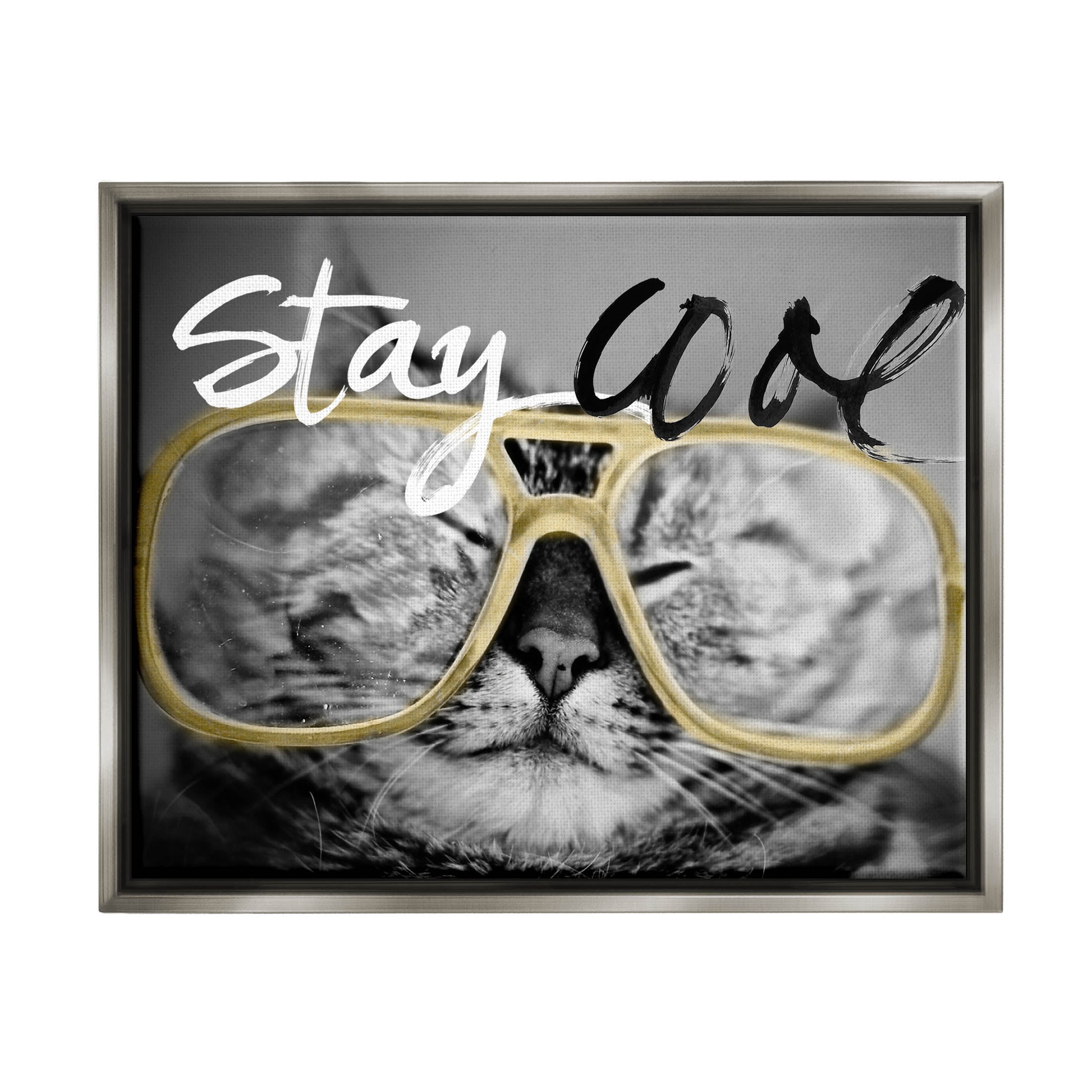 Stupell Industries Stay Cool Cat Glasses Graphic Art Luster Gray Floating Framed Canvas Print Wall Art, Design by Sundance Group